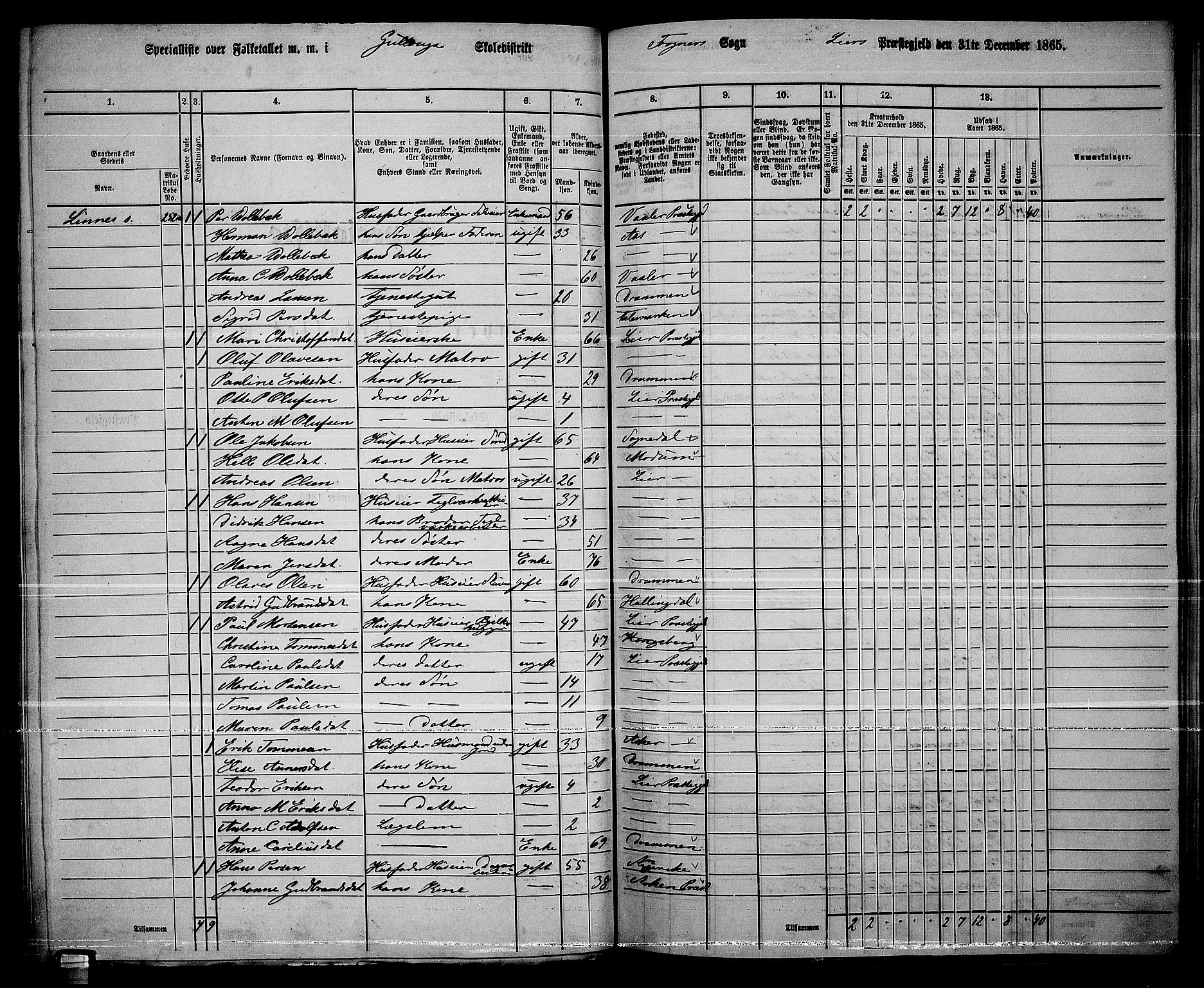 RA, 1865 census for Lier, 1865, p. 147