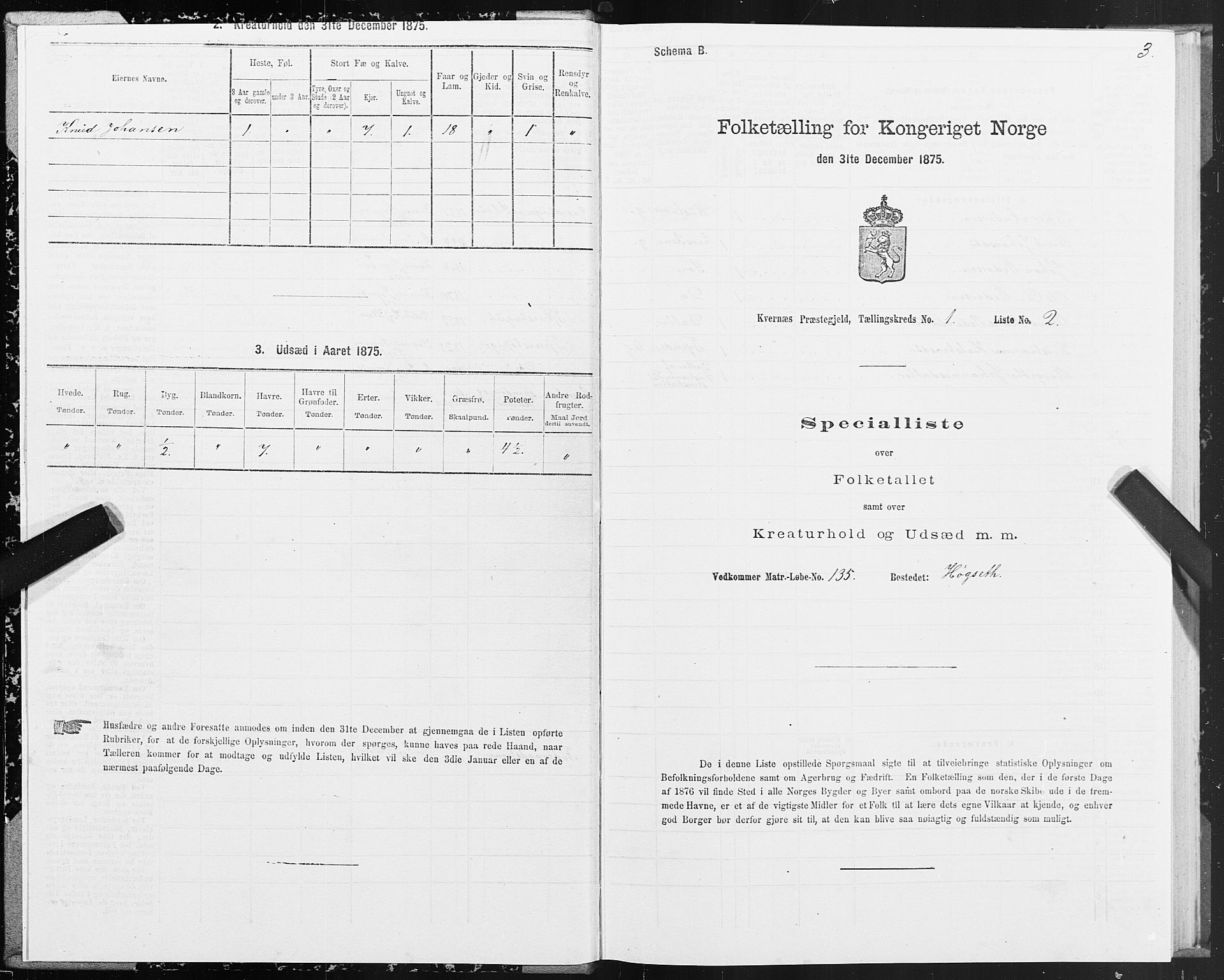 SAT, 1875 census for 1553P Kvernes, 1875, p. 1003