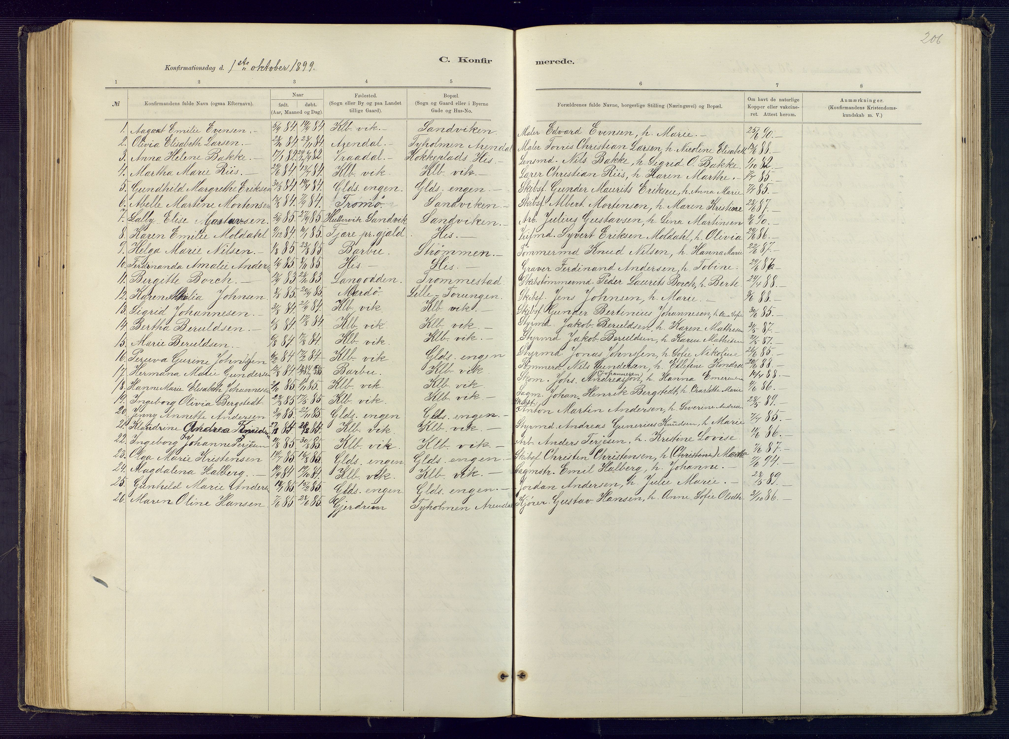 Hisøy sokneprestkontor, SAK/1111-0020/F/Fb/L0003: Parish register (copy) no. B 3, 1885-1905, p. 206