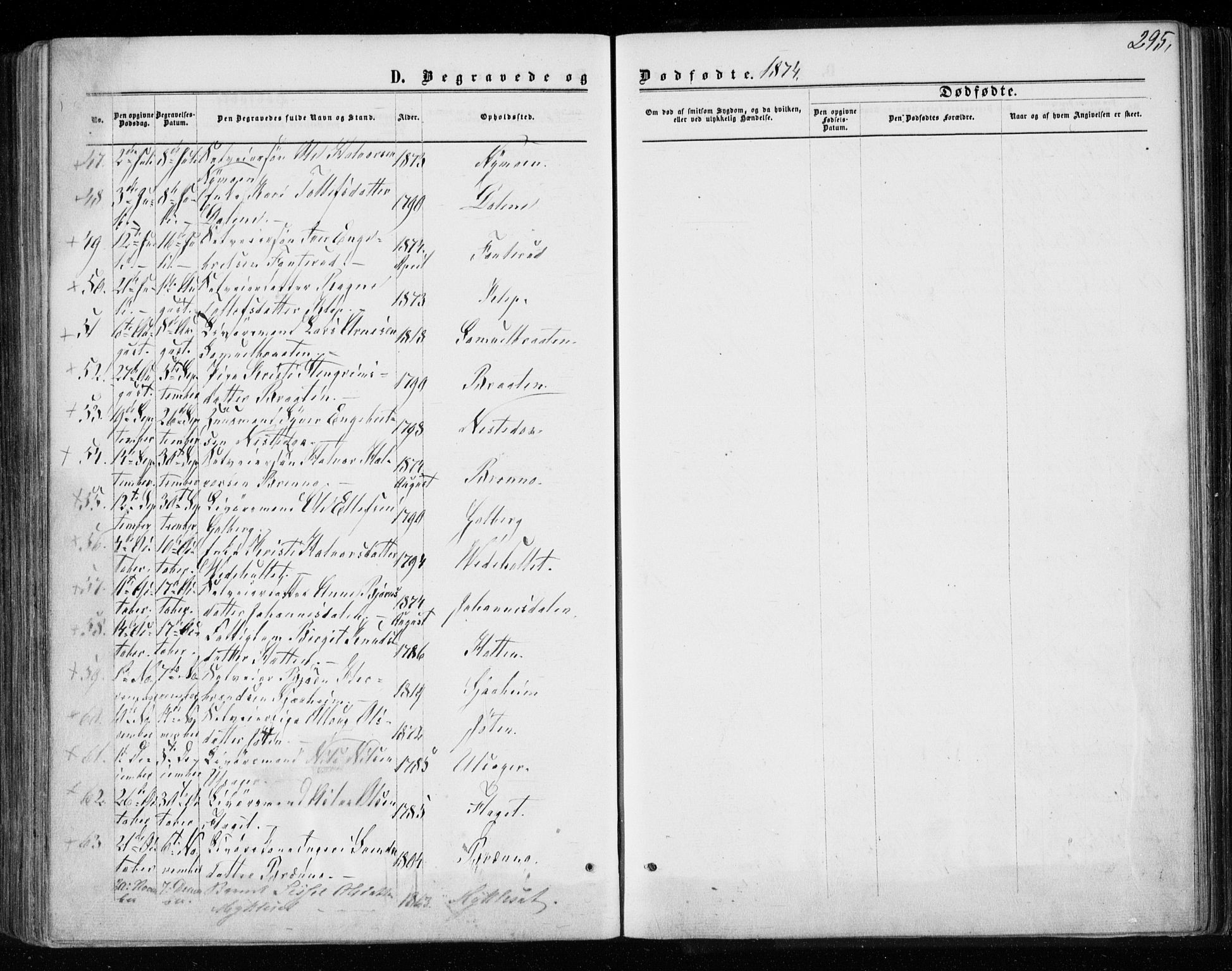 Gol kirkebøker, AV/SAKO-A-226/F/Fa/L0003: Parish register (official) no. I 3, 1863-1875, p. 295