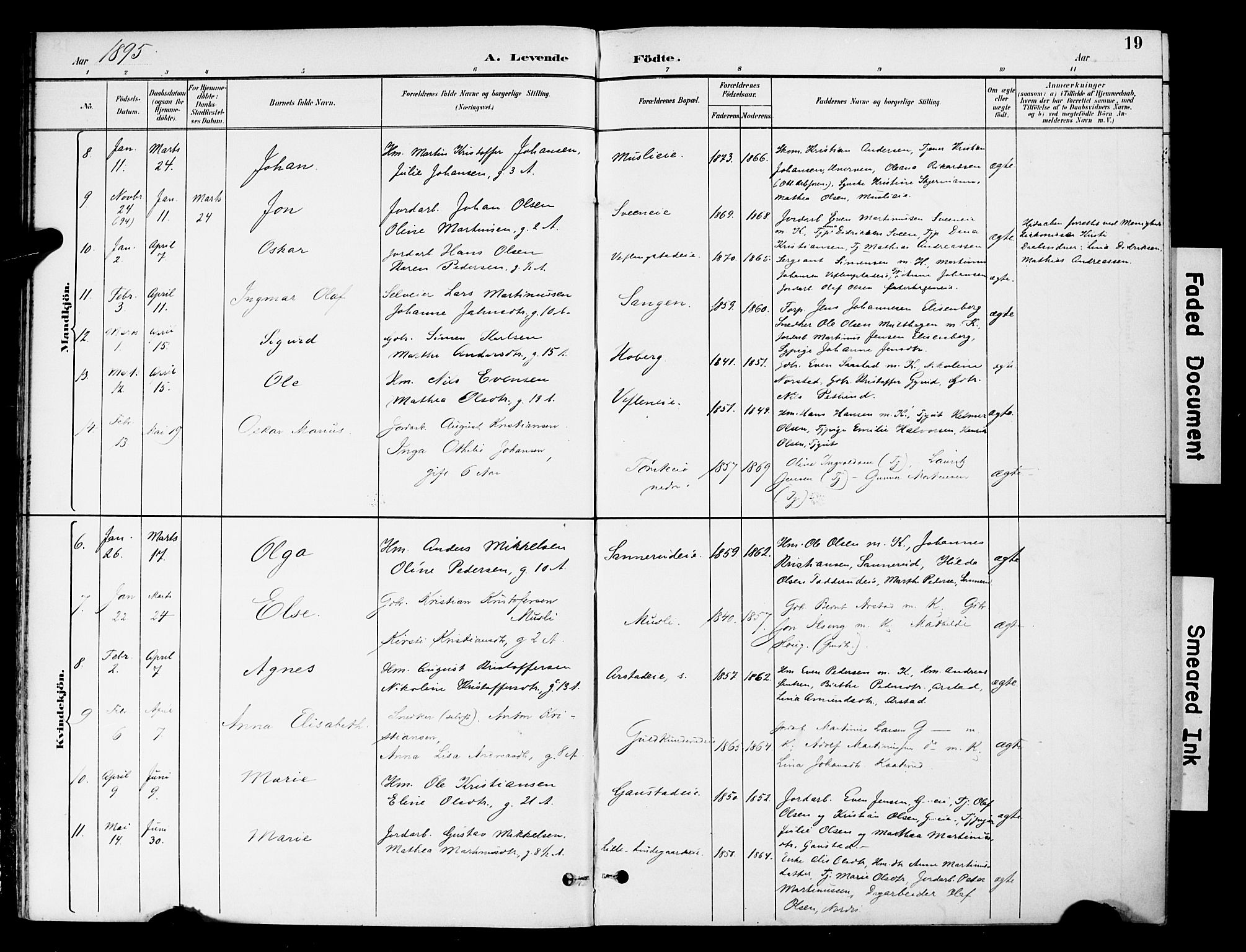 Stange prestekontor, AV/SAH-PREST-002/K/L0021: Parish register (official) no. 21, 1891-1902, p. 19