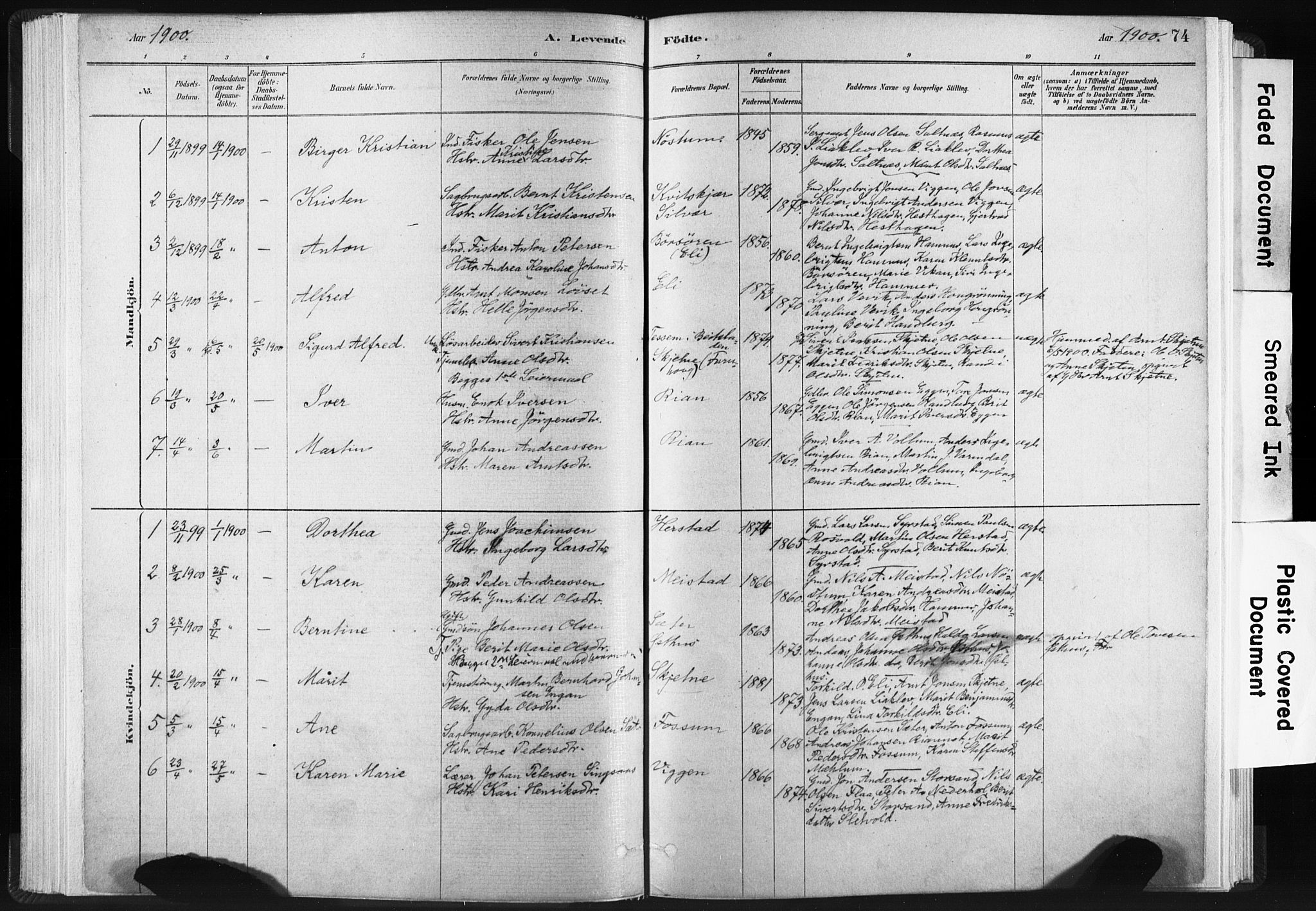 Ministerialprotokoller, klokkerbøker og fødselsregistre - Sør-Trøndelag, SAT/A-1456/665/L0773: Parish register (official) no. 665A08, 1879-1905, p. 74
