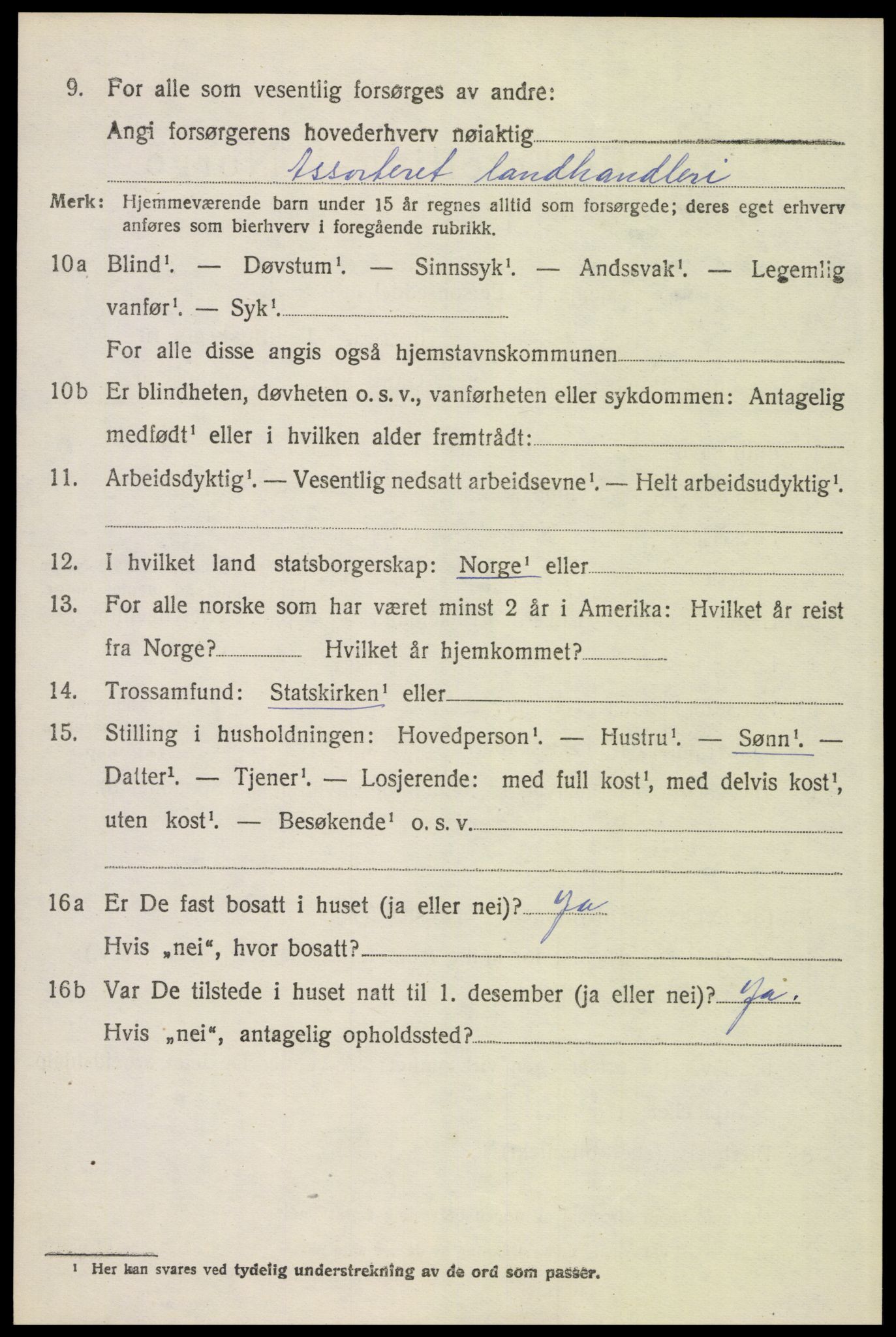 SAH, 1920 census for Åsnes, 1920, p. 11733