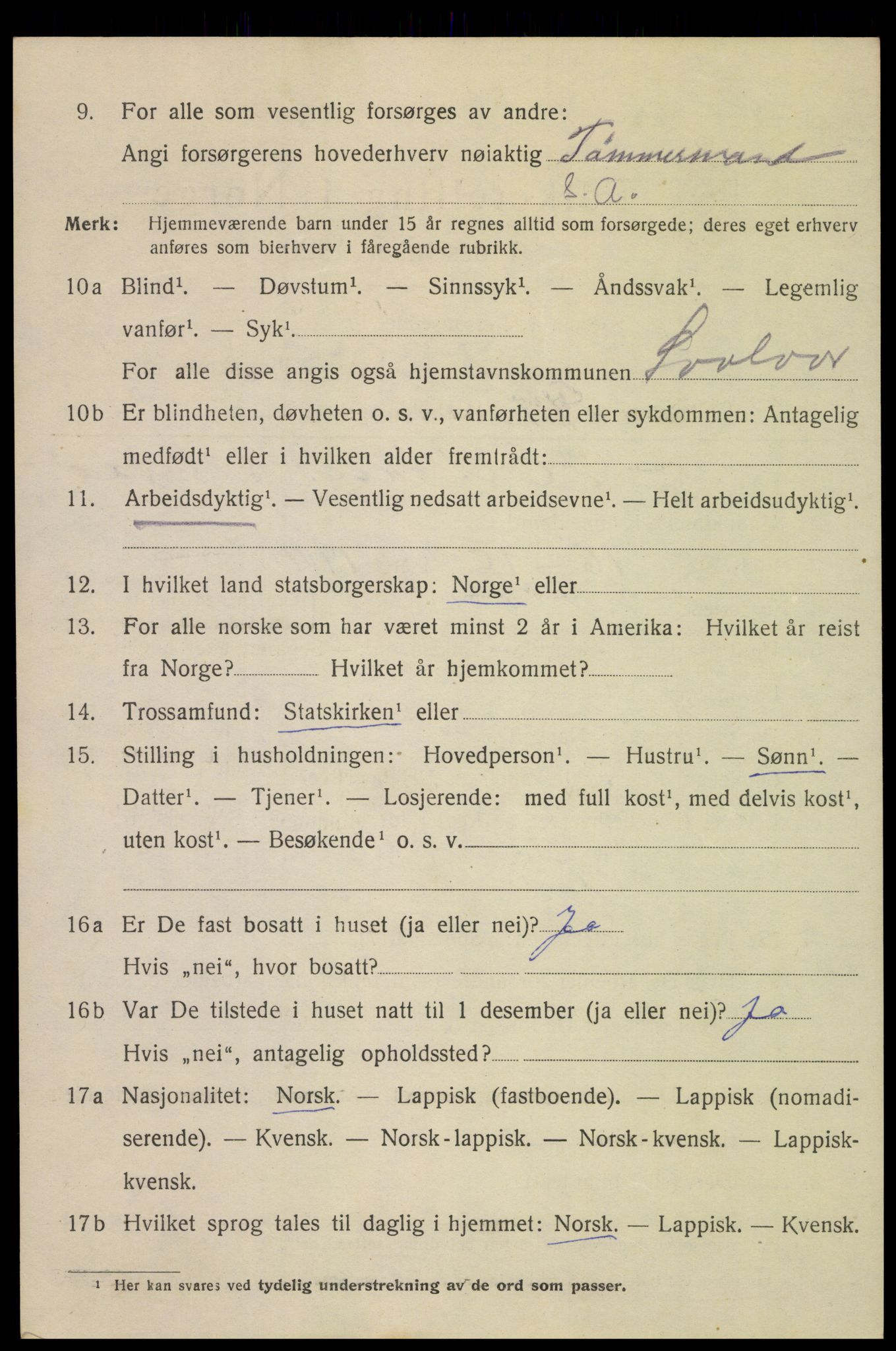 SAT, 1920 census for Svolvær, 1920, p. 3133