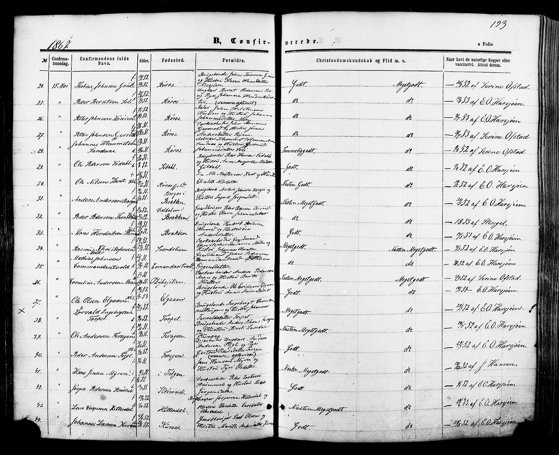 Ministerialprotokoller, klokkerbøker og fødselsregistre - Sør-Trøndelag, AV/SAT-A-1456/681/L0932: Parish register (official) no. 681A10, 1860-1878, p. 193