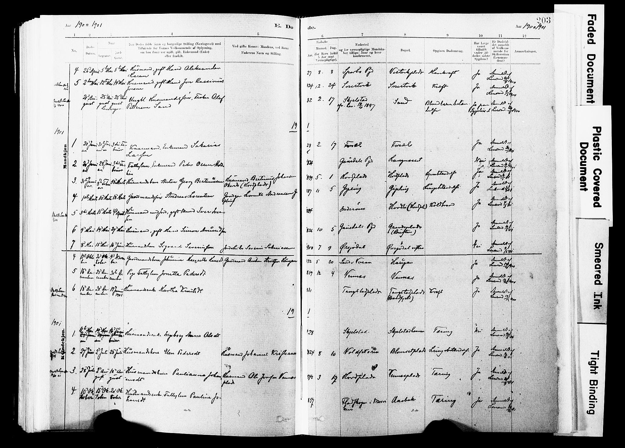 Ministerialprotokoller, klokkerbøker og fødselsregistre - Nord-Trøndelag, SAT/A-1458/744/L0420: Parish register (official) no. 744A04, 1882-1904, p. 203