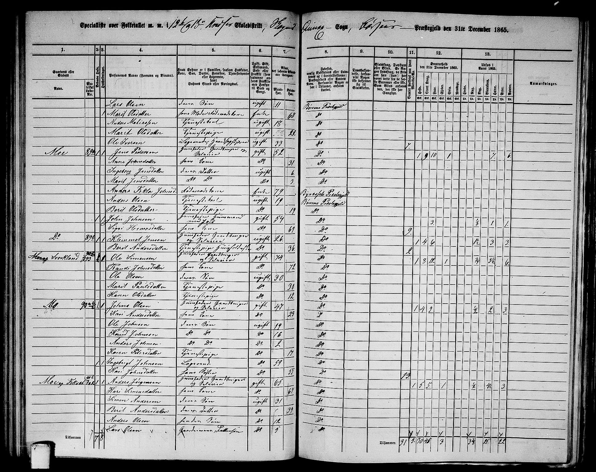 RA, 1865 census for Børsa, 1865, p. 145