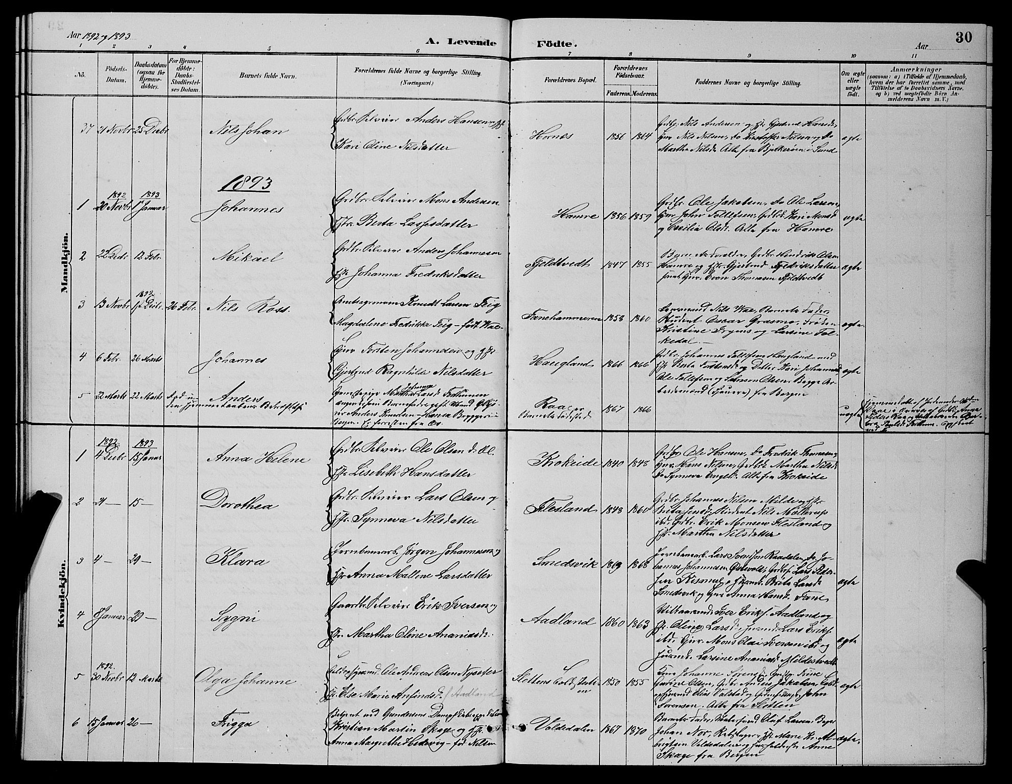 Fana Sokneprestembete, AV/SAB-A-75101/H/Hab/Haba/L0002: Parish register (copy) no. A 2, 1889-1895, p. 30