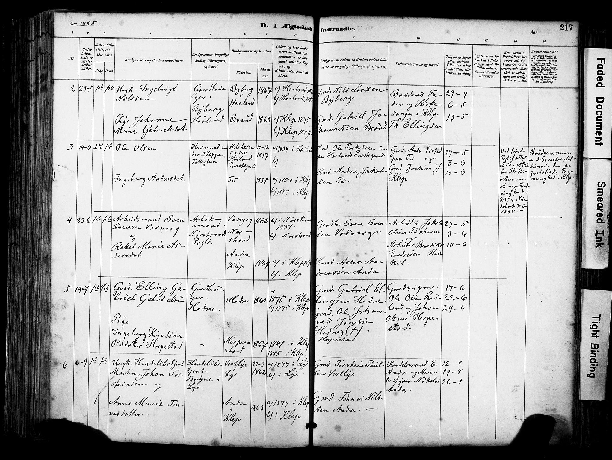 Klepp sokneprestkontor, SAST/A-101803/001/3/30BA/L0009: Parish register (official) no. A 7, 1886-1915, p. 217