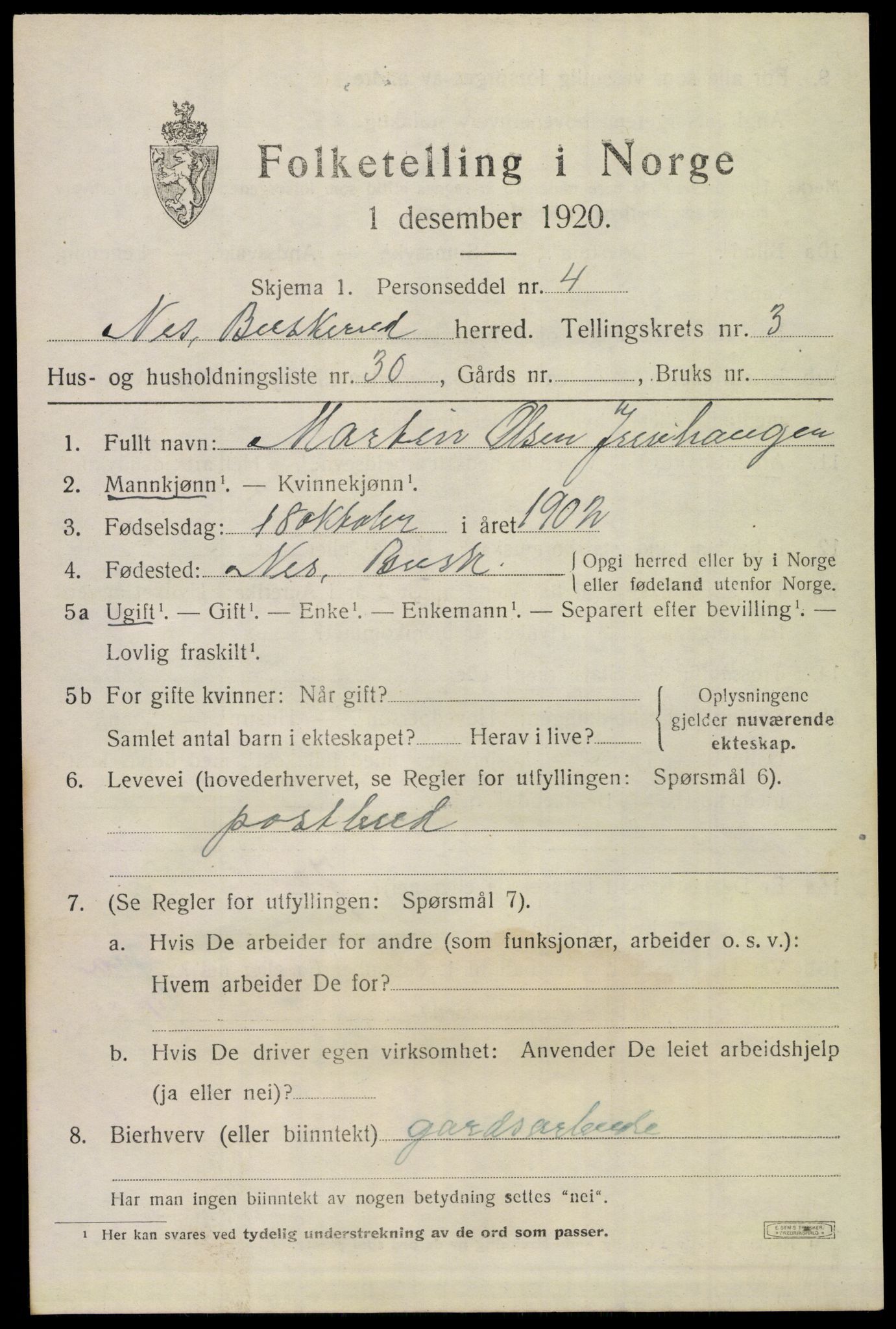 SAKO, 1920 census for Nes (Buskerud), 1920, p. 1906