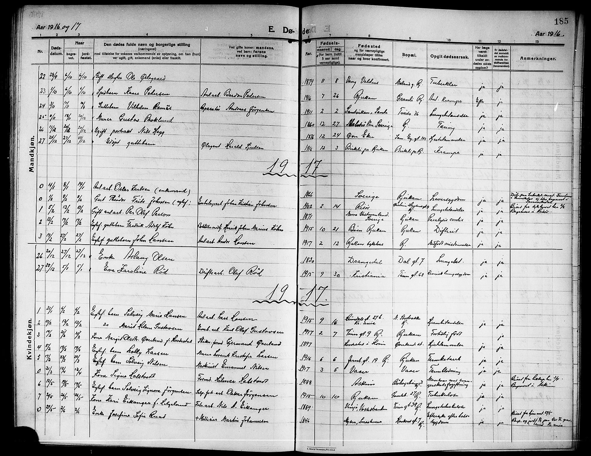 Rjukan kirkebøker, SAKO/A-294/G/Ga/L0002: Parish register (copy) no. 2, 1913-1920, p. 185