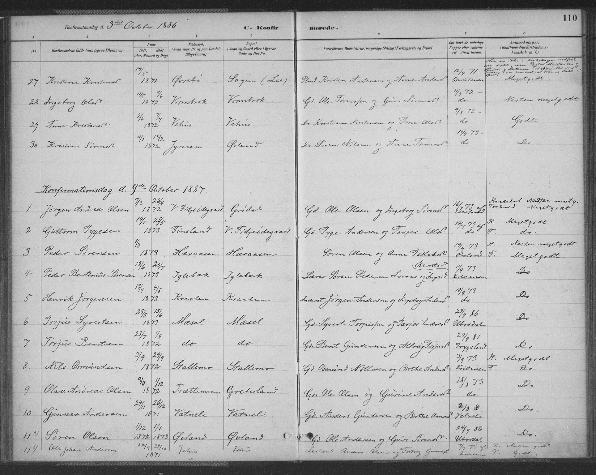 Vennesla sokneprestkontor, SAK/1111-0045/Fa/Fac/L0009: Parish register (official) no. A 9, 1884-1901, p. 110
