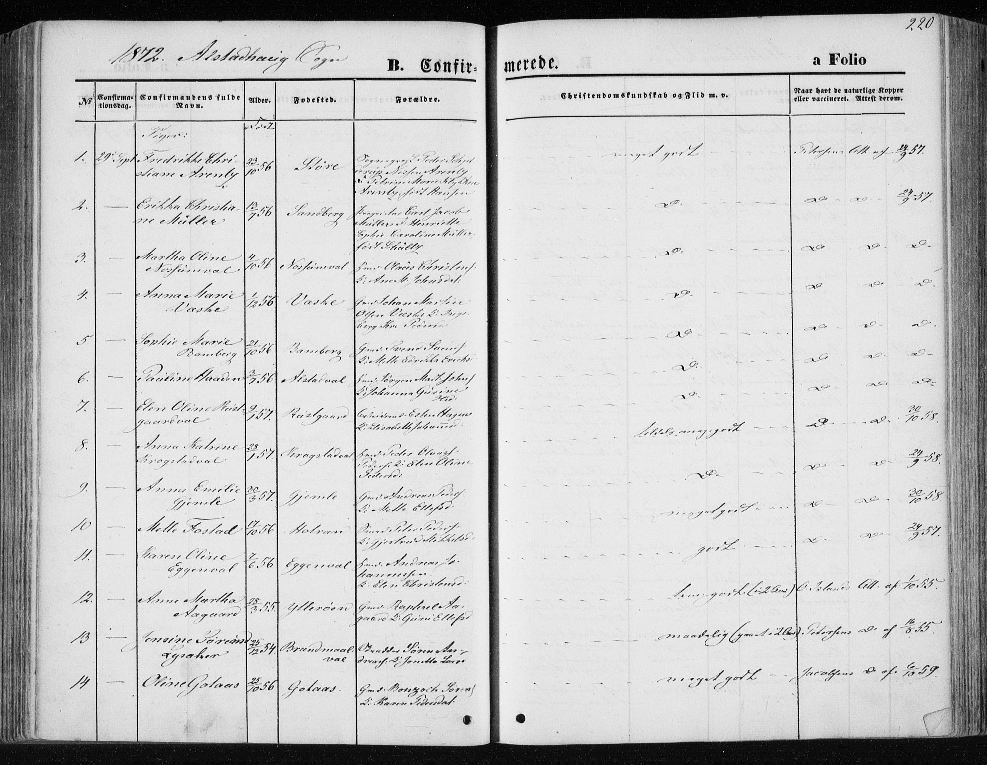 Ministerialprotokoller, klokkerbøker og fødselsregistre - Nord-Trøndelag, AV/SAT-A-1458/717/L0157: Parish register (official) no. 717A08 /1, 1863-1877, p. 220