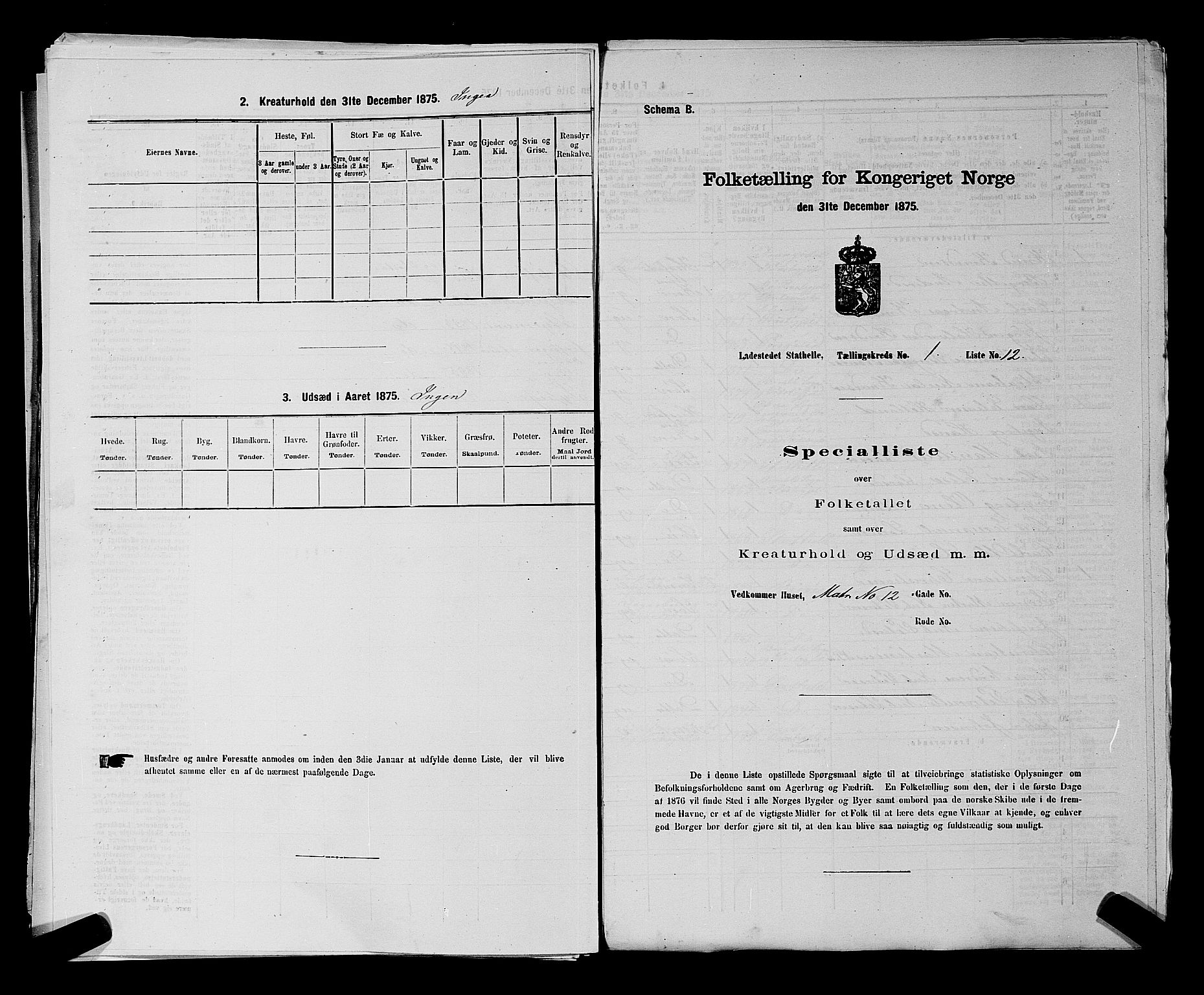 SAKO, 1875 census for 0803B Bamble/Stathelle, 1875, p. 31