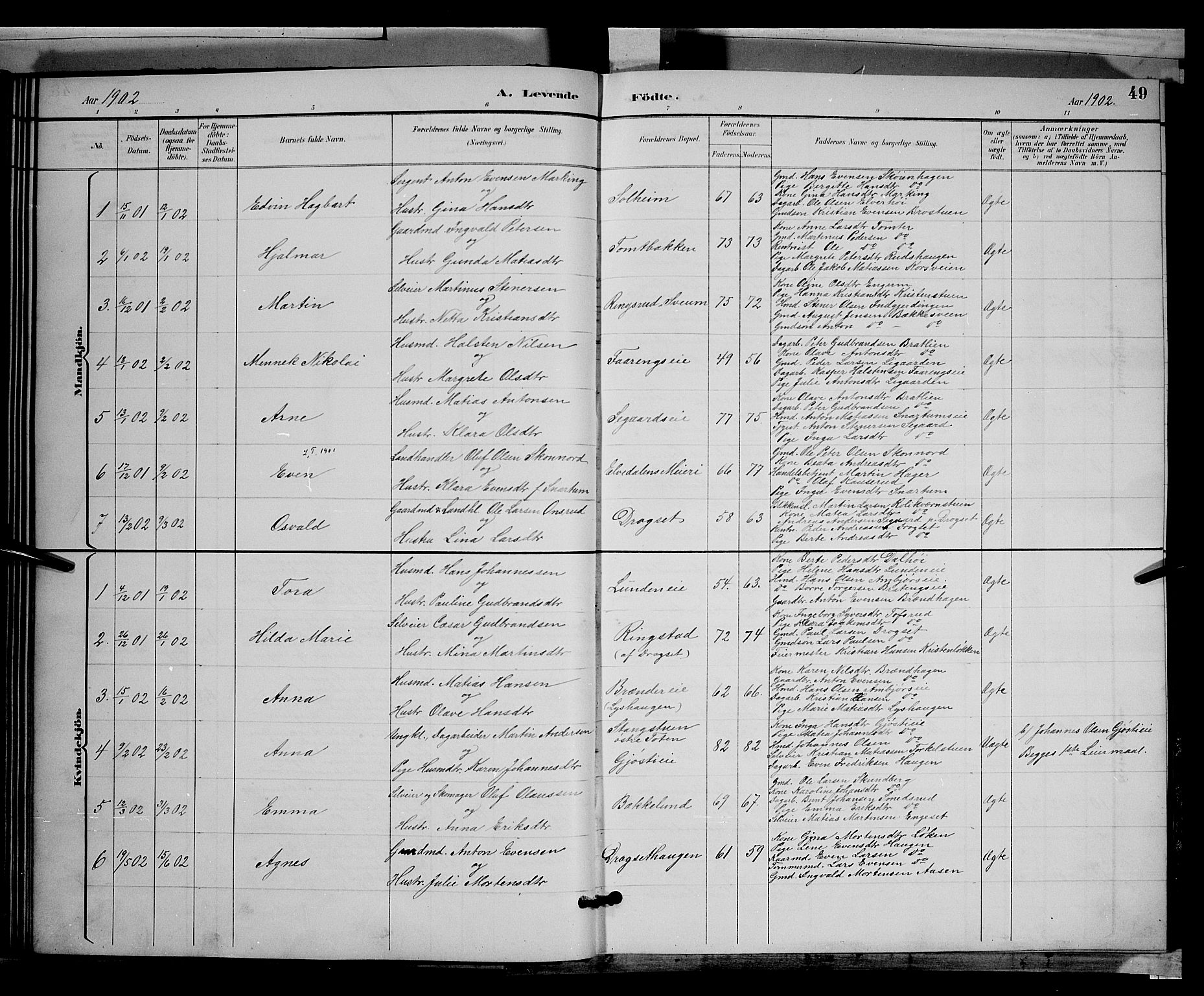 Biri prestekontor, AV/SAH-PREST-096/H/Ha/Hab/L0003: Parish register (copy) no. 3, 1892-1905, p. 49