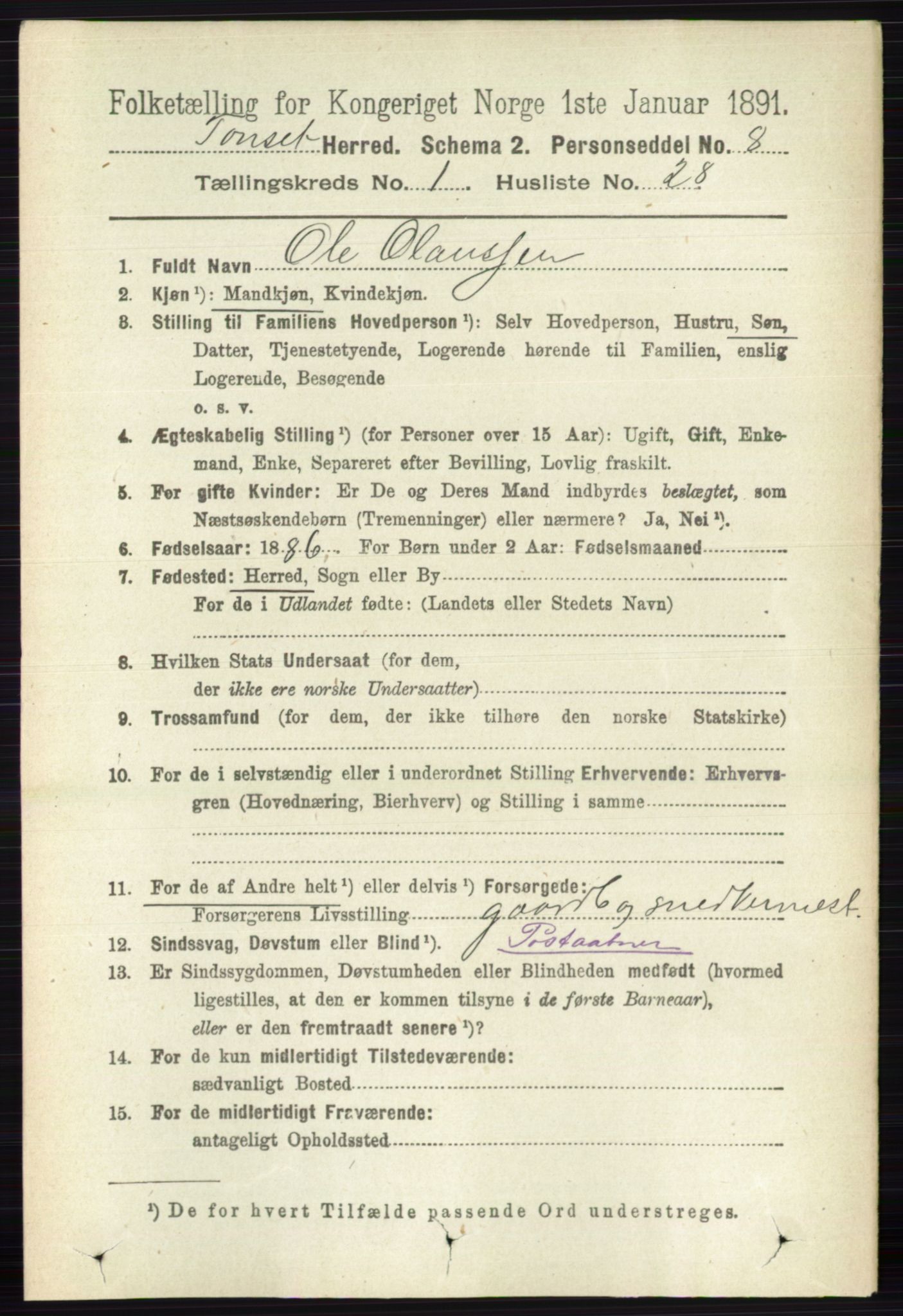 RA, 1891 census for 0437 Tynset, 1891, p. 228