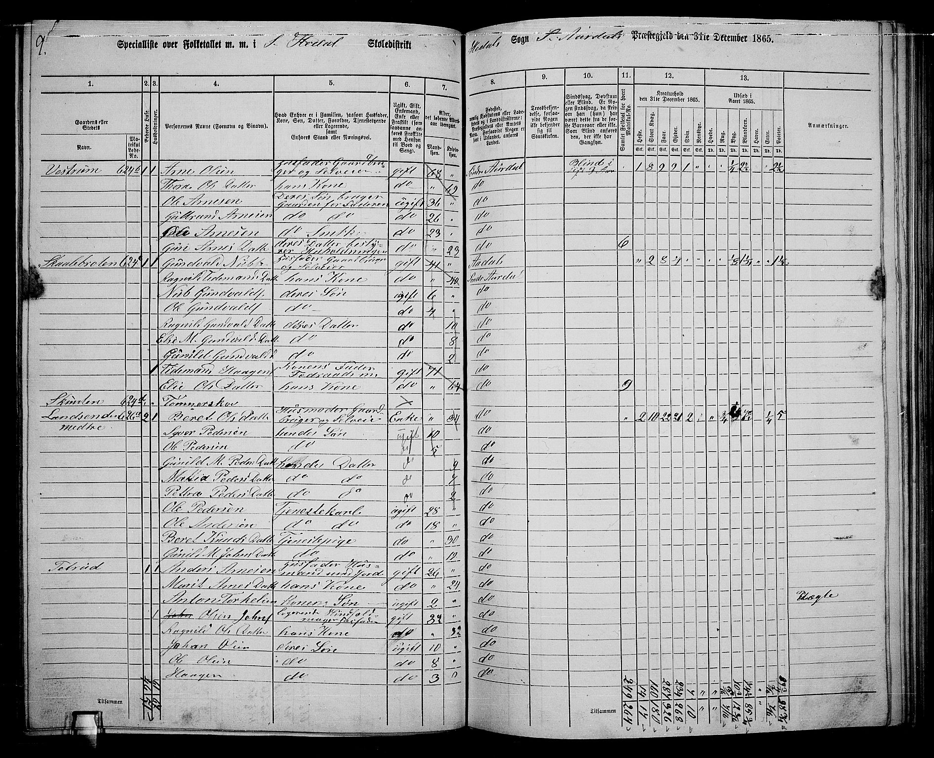 RA, 1865 census for Sør-Aurdal, 1865, p. 176