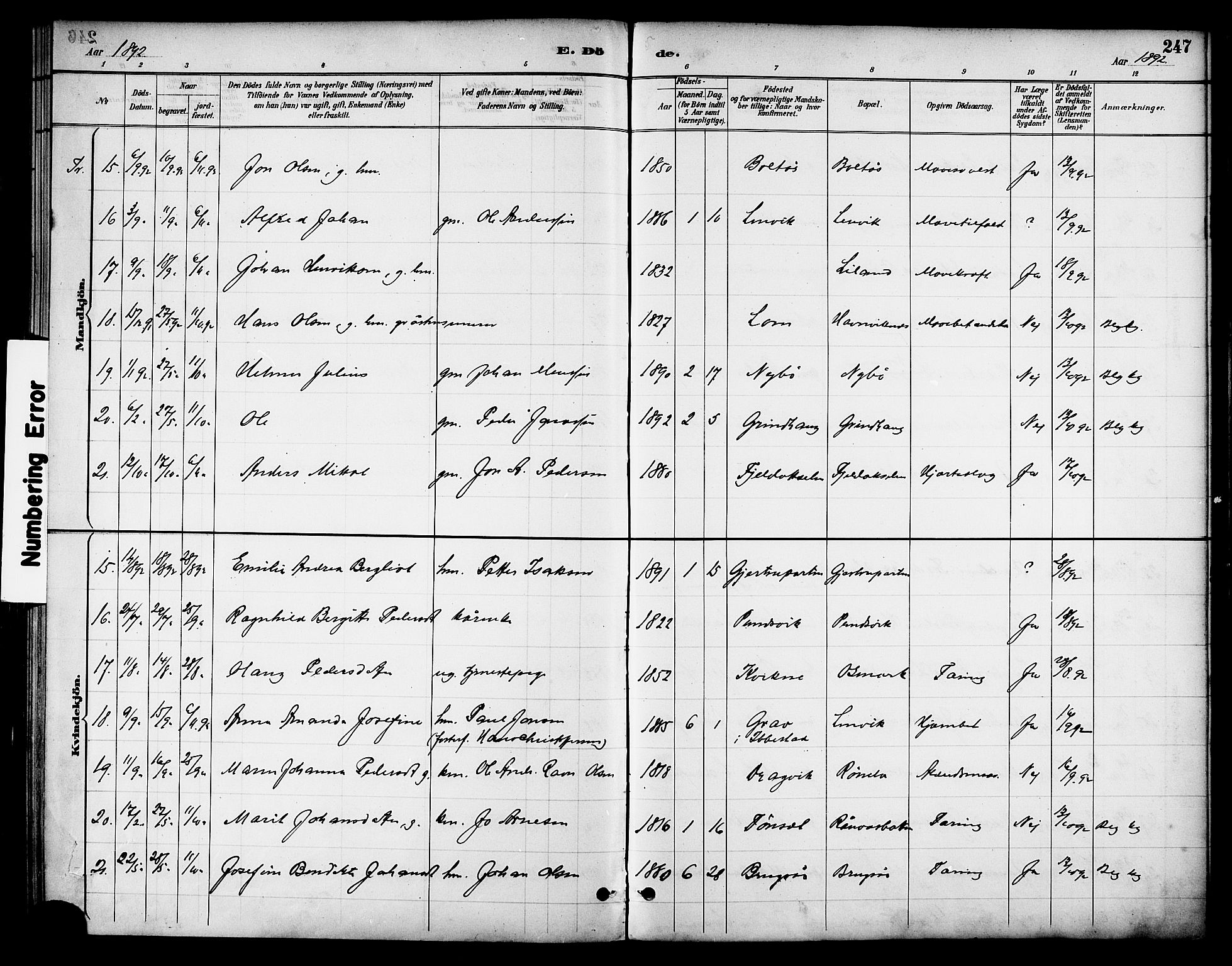 Ministerialprotokoller, klokkerbøker og fødselsregistre - Nordland, SAT/A-1459/863/L0898: Parish register (official) no. 863A10, 1886-1897, p. 246
