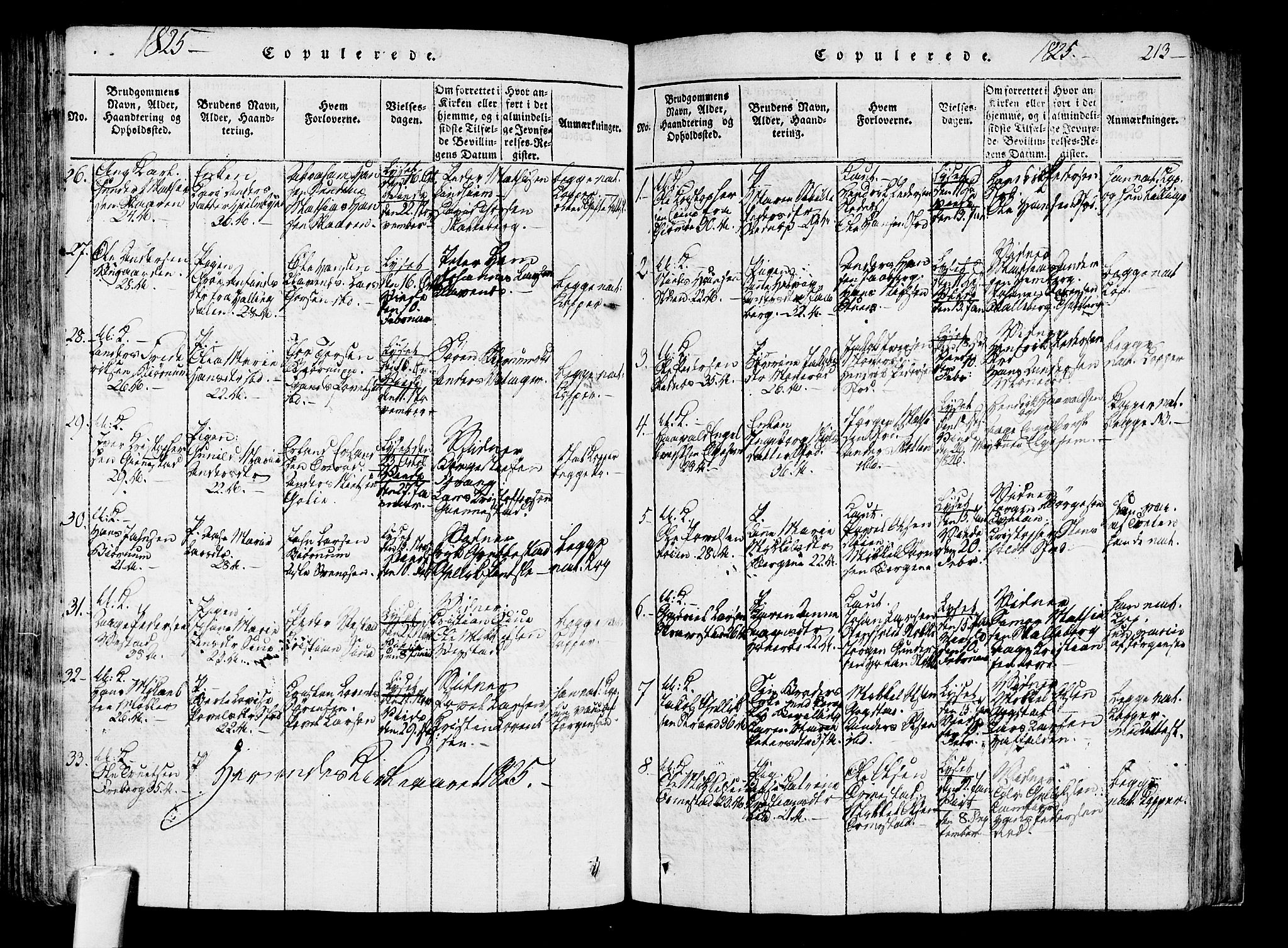Sandar kirkebøker, SAKO/A-243/F/Fa/L0004: Parish register (official) no. 4, 1814-1832, p. 213