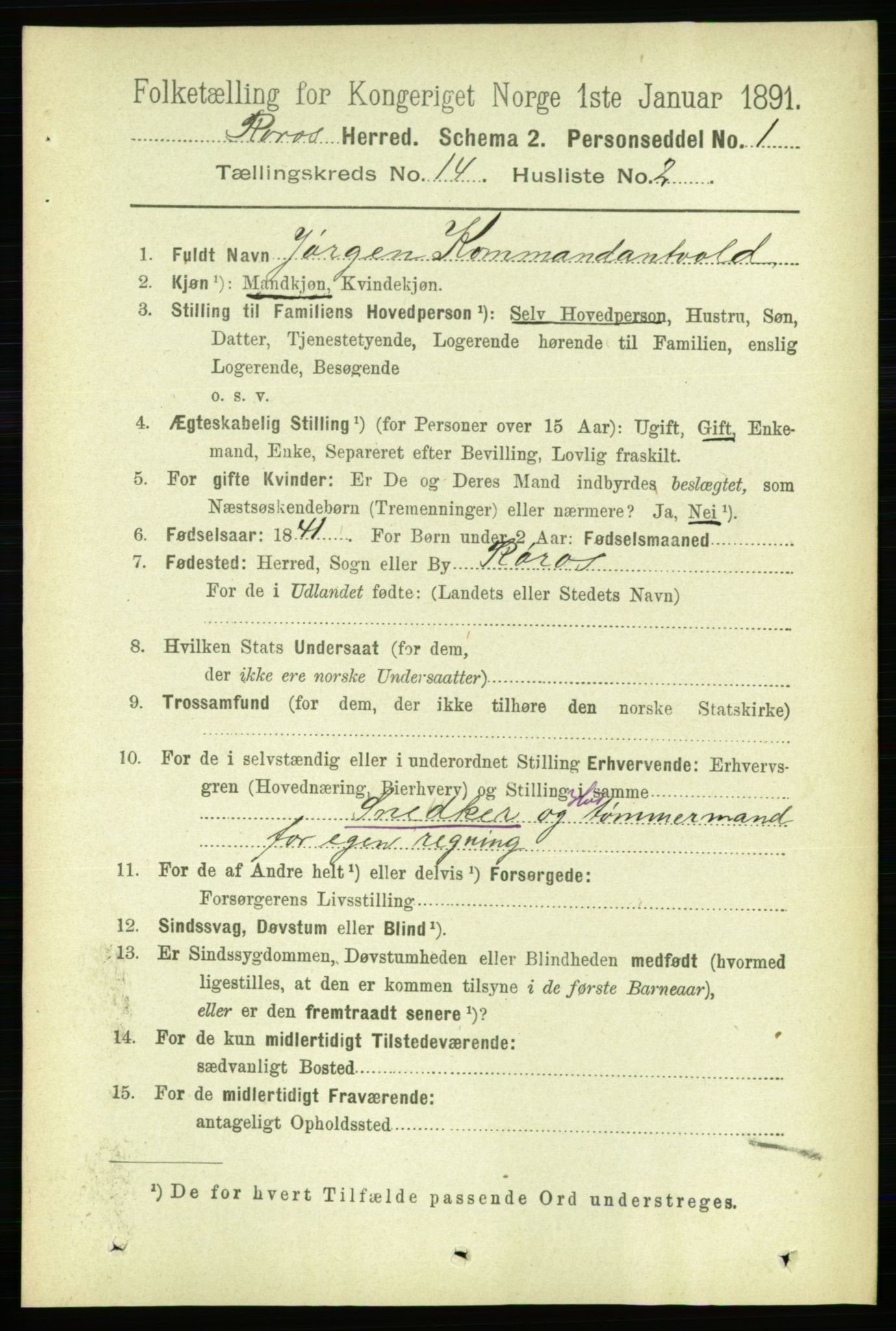 RA, 1891 census for 1640 Røros, 1891, p. 2881