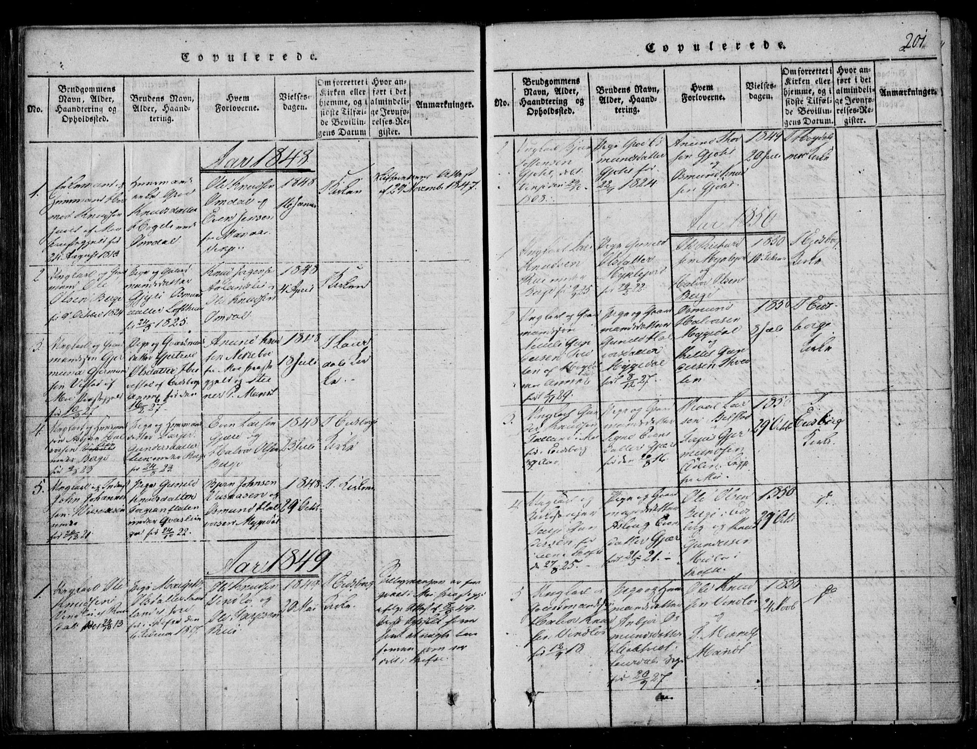 Lårdal kirkebøker, SAKO/A-284/F/Fb/L0001: Parish register (official) no. II 1, 1815-1860, p. 201