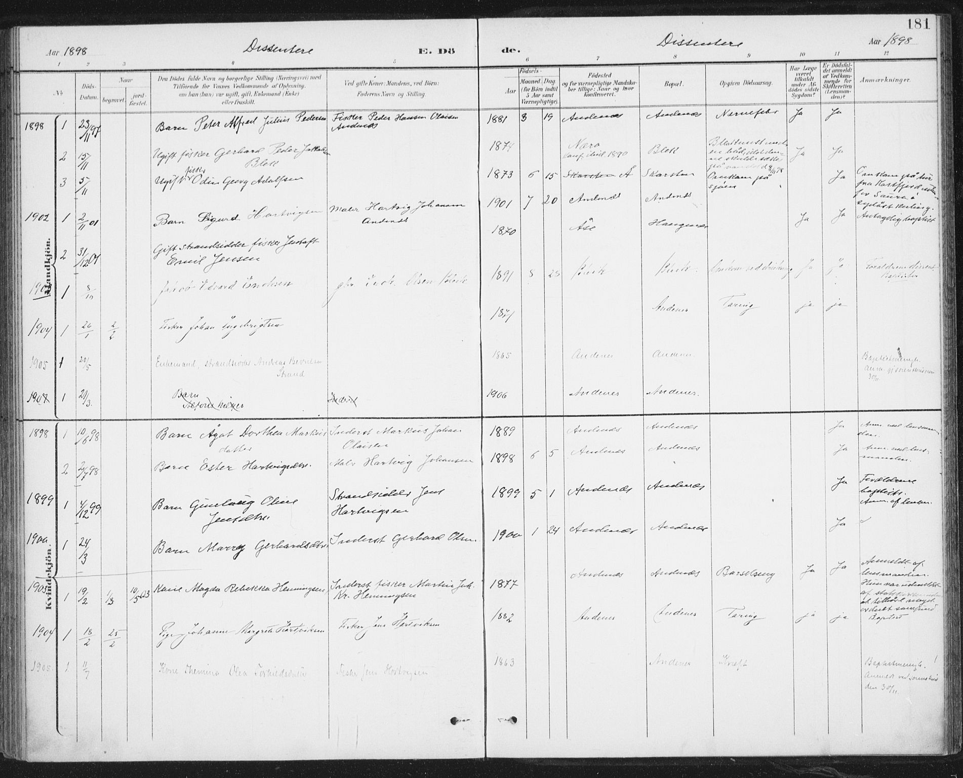 Ministerialprotokoller, klokkerbøker og fødselsregistre - Nordland, SAT/A-1459/899/L1437: Parish register (official) no. 899A05, 1897-1908, p. 181