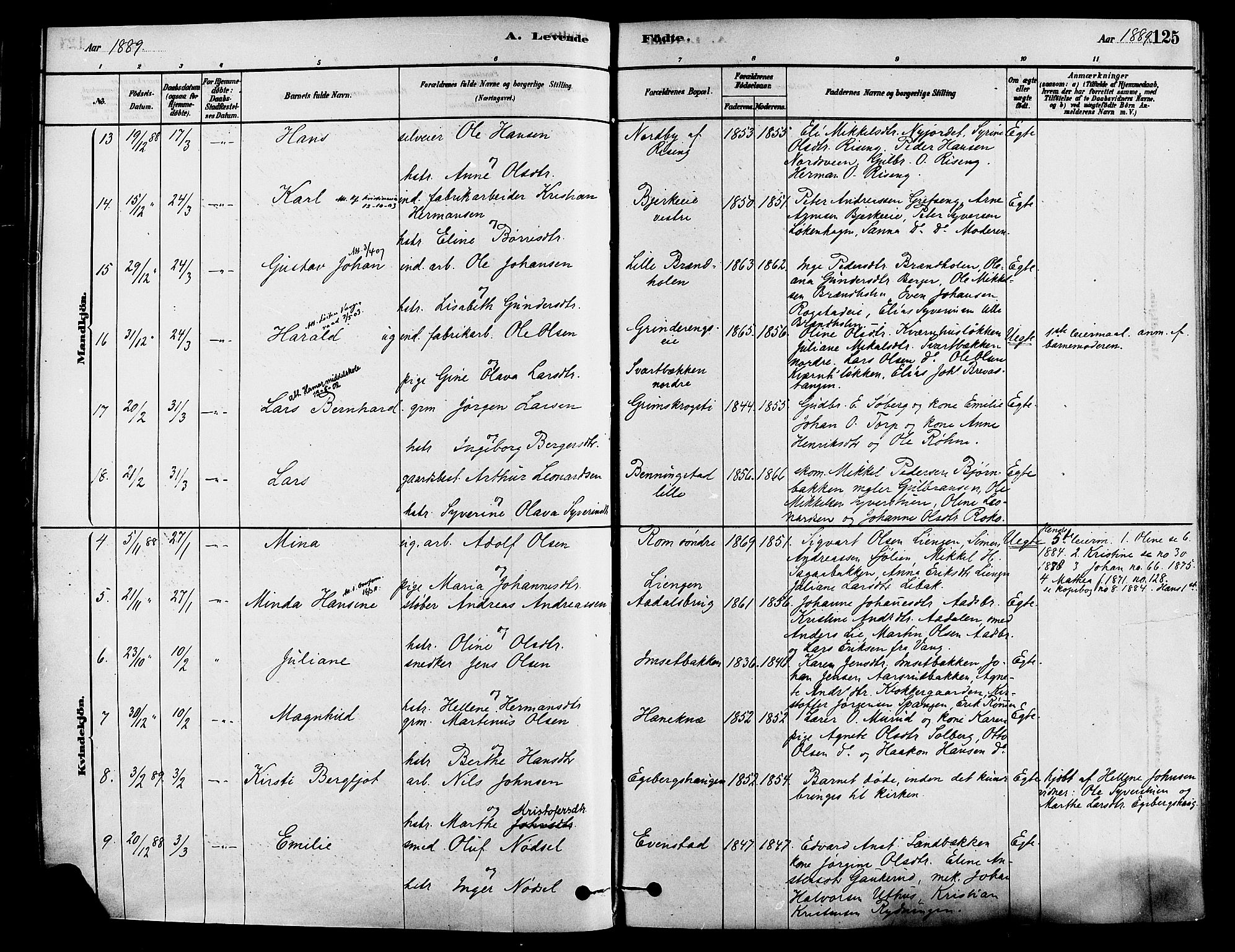 Løten prestekontor, AV/SAH-PREST-022/K/Ka/L0009: Parish register (official) no. 9, 1878-1891, p. 125