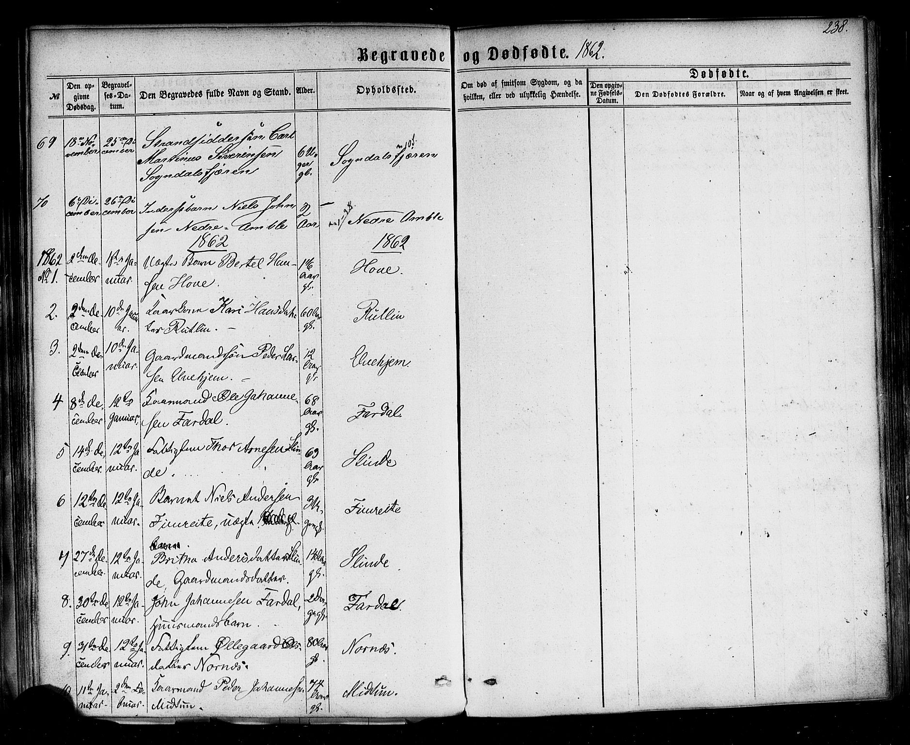 Sogndal sokneprestembete, SAB/A-81301/H/Haa/Haaa/L0013: Parish register (official) no. A 13, 1859-1877, p. 238