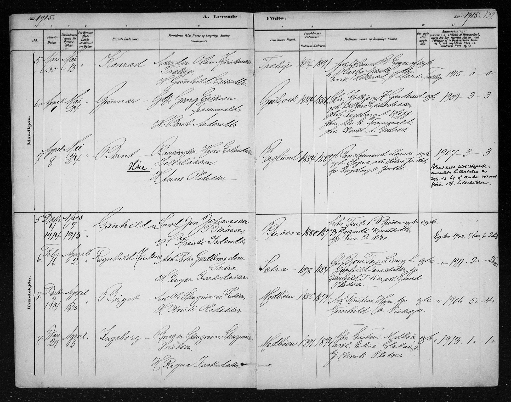 Nes kirkebøker, AV/SAKO-A-236/F/Fa/L0012: Parish register (official) no. 12, 1881-1917, p. 139