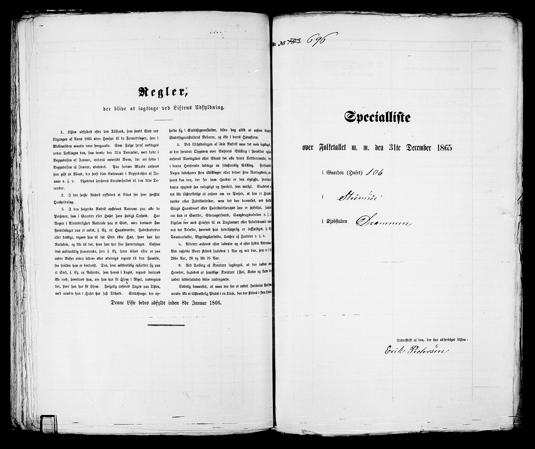 RA, 1865 census for Strømsø in Drammen, 1865, p. 207