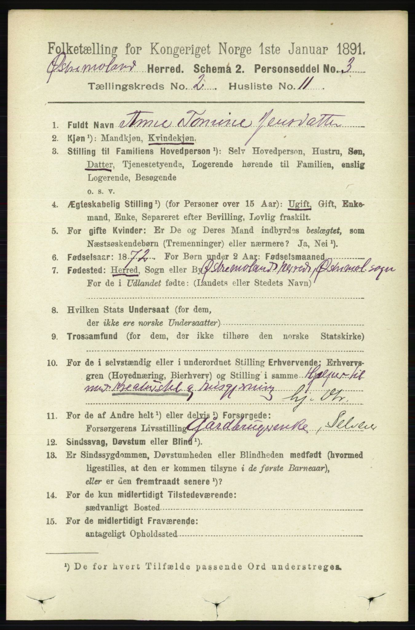 RA, 1891 census for 0918 Austre Moland, 1891, p. 753