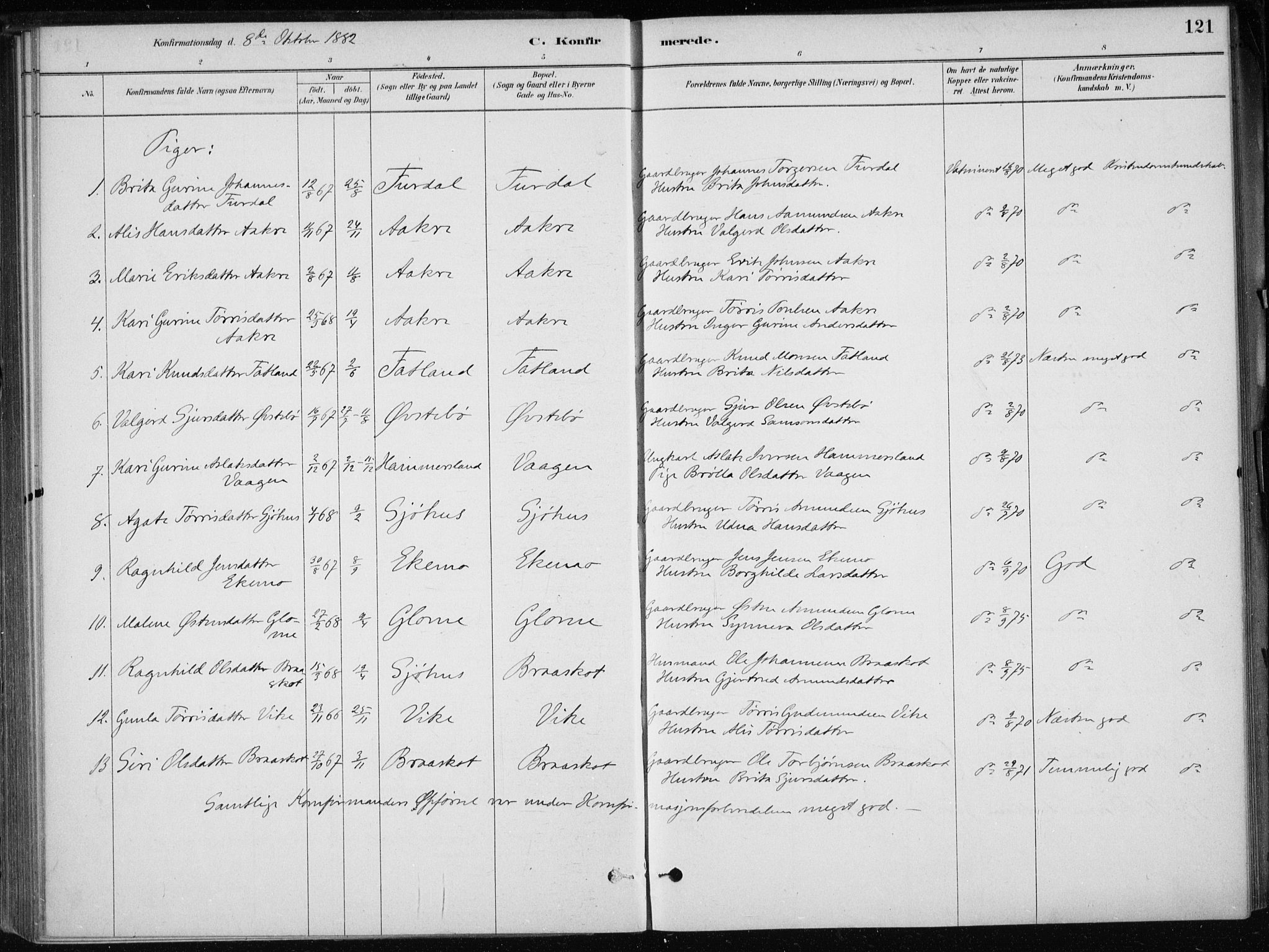 Skånevik sokneprestembete, AV/SAB-A-77801/H/Haa: Parish register (official) no. E  1, 1879-1901, p. 121