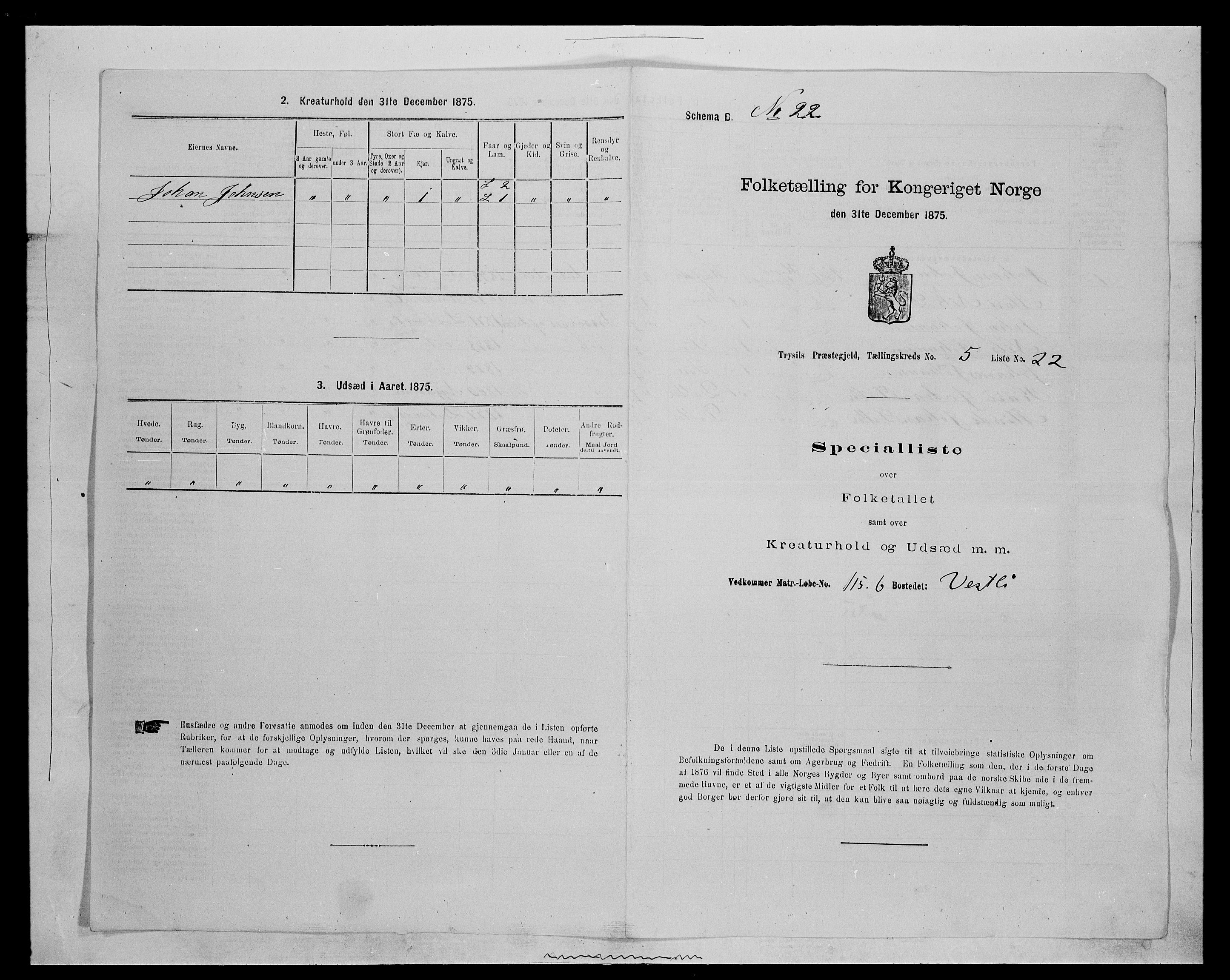 SAH, 1875 census for 0428P Trysil, 1875, p. 716