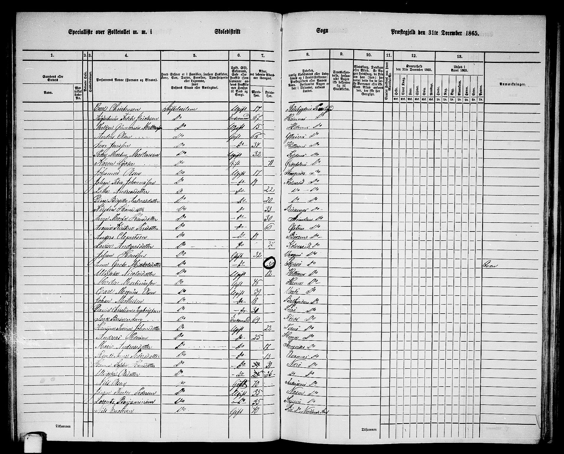 RA, 1865 census for Strinda, 1865, p. 99