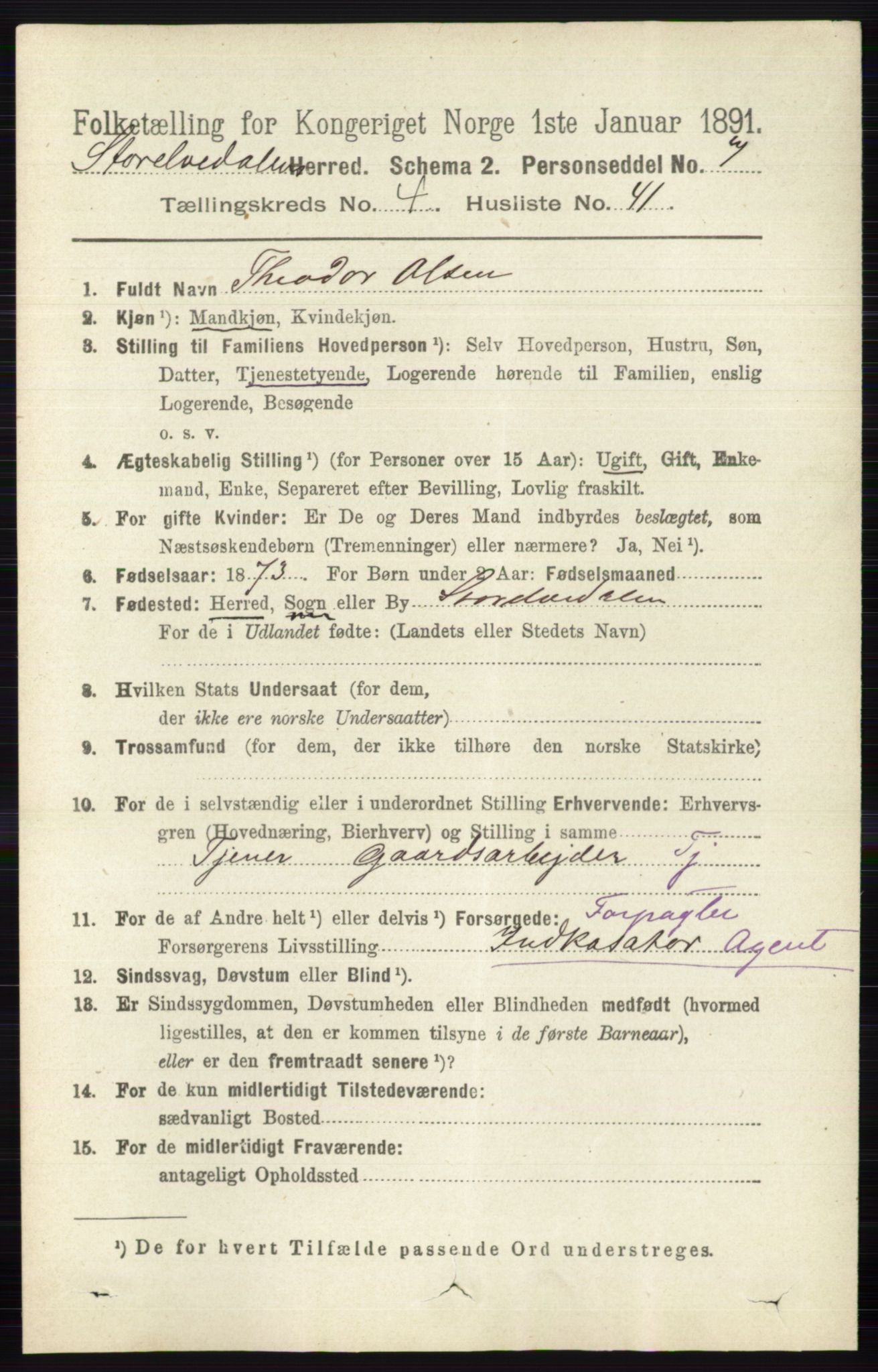 RA, 1891 census for 0430 Stor-Elvdal, 1891, p. 1663