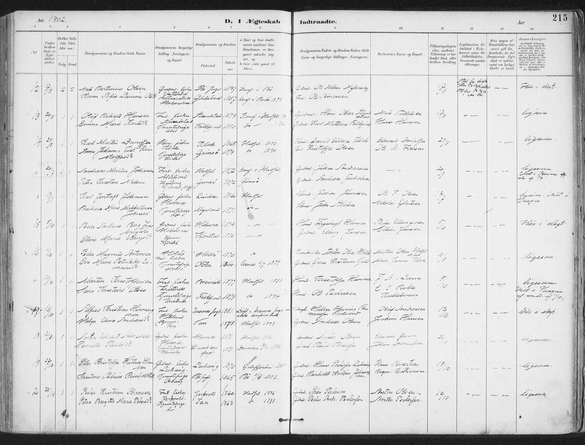 Ministerialprotokoller, klokkerbøker og fødselsregistre - Nordland, AV/SAT-A-1459/888/L1246: Parish register (official) no. 888A12, 1891-1903, p. 215