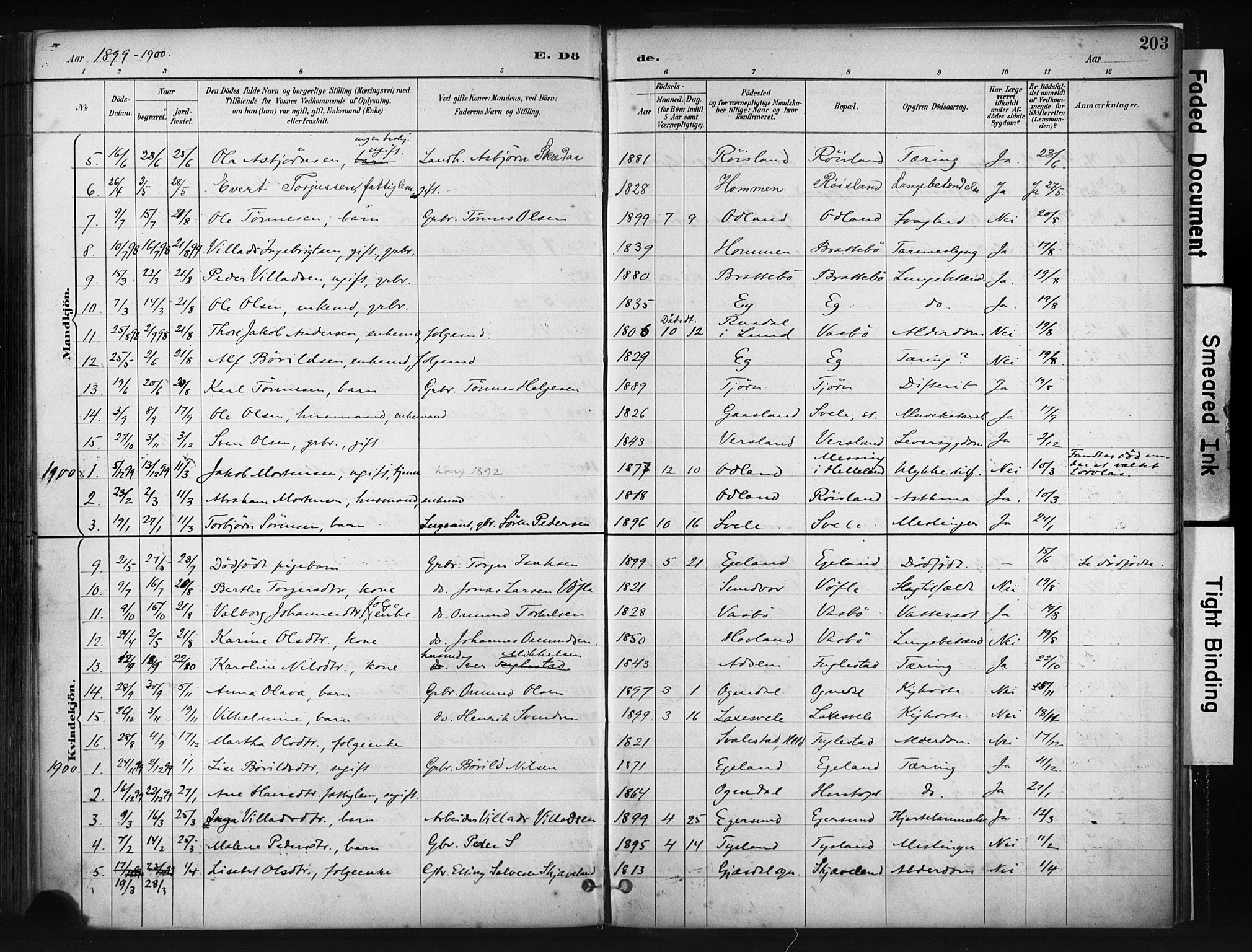 Helleland sokneprestkontor, AV/SAST-A-101810: Parish register (official) no. A 9, 1887-1908, p. 203