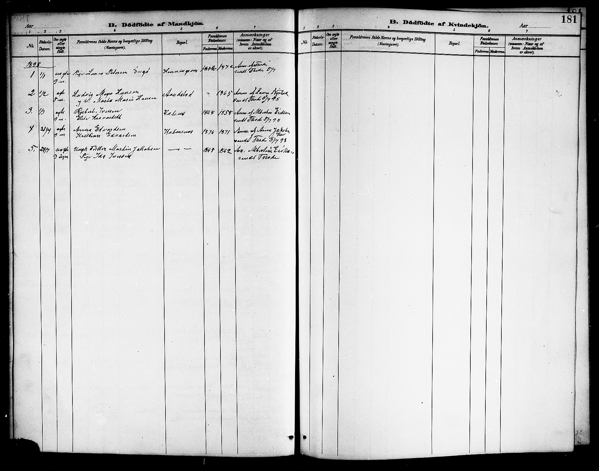 Ministerialprotokoller, klokkerbøker og fødselsregistre - Nordland, AV/SAT-A-1459/888/L1268: Parish register (copy) no. 888C06, 1891-1908, p. 181