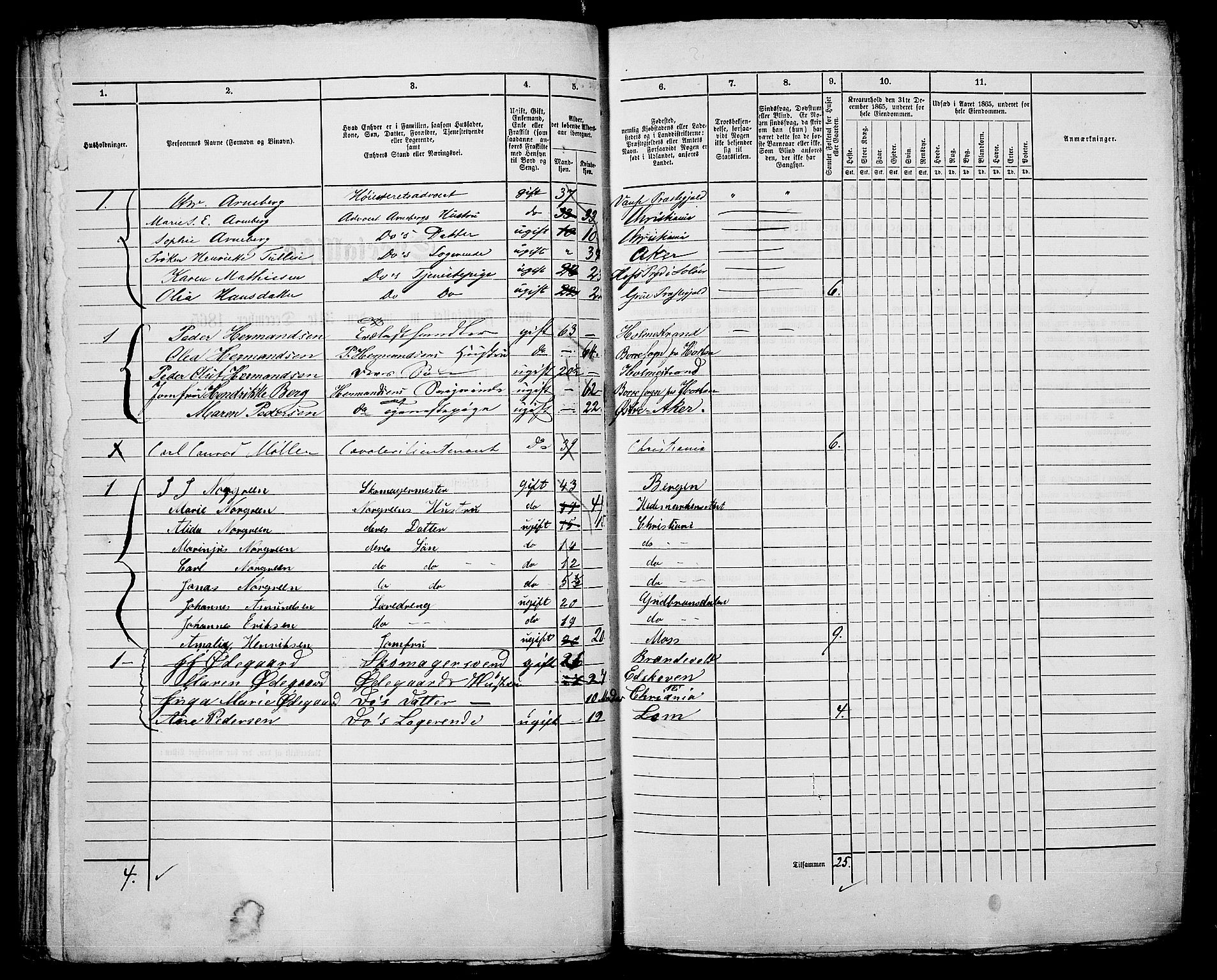 RA, 1865 census for Kristiania, 1865, p. 231