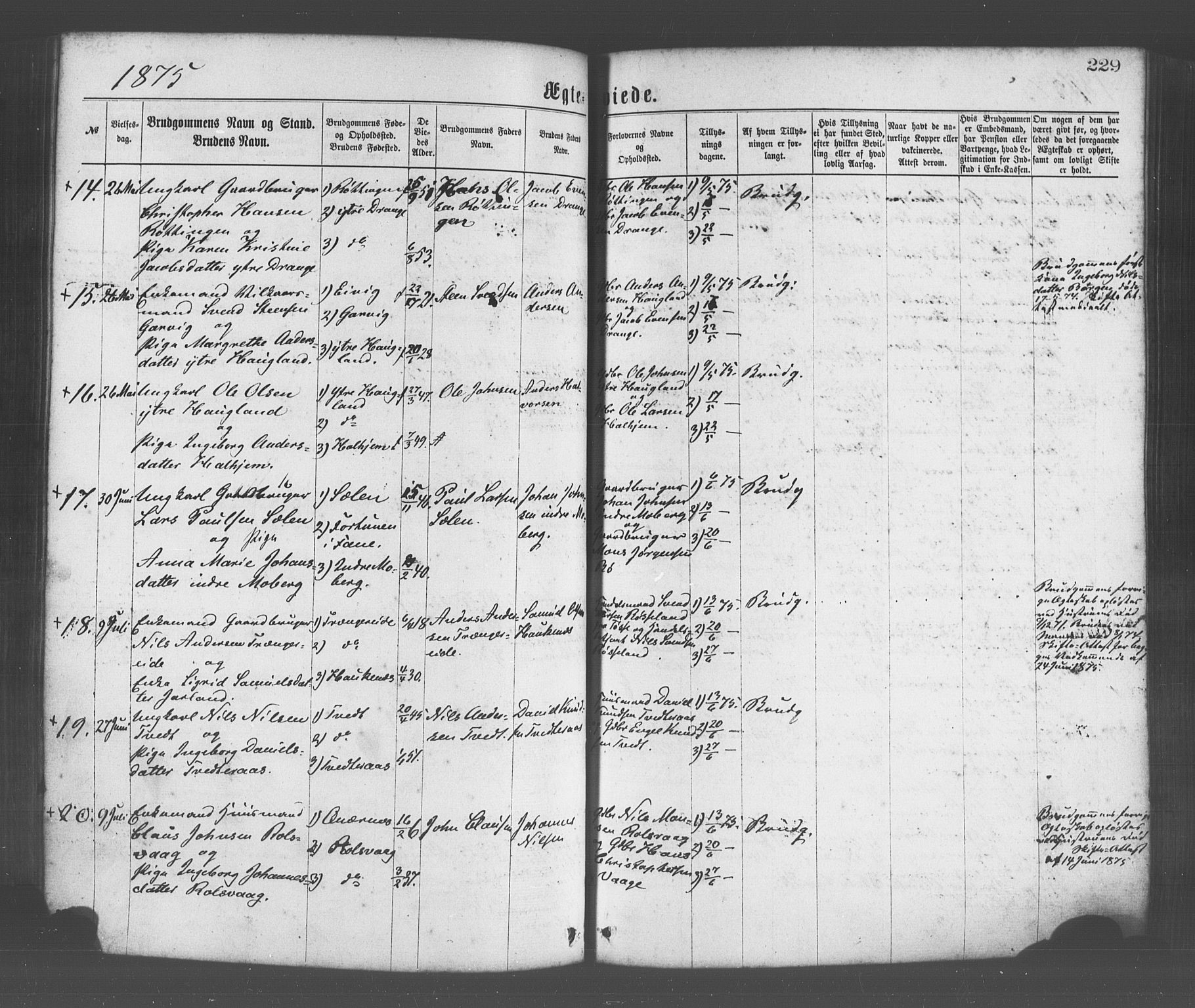 Os sokneprestembete, AV/SAB-A-99929: Parish register (official) no. A 18, 1874-1884, p. 229