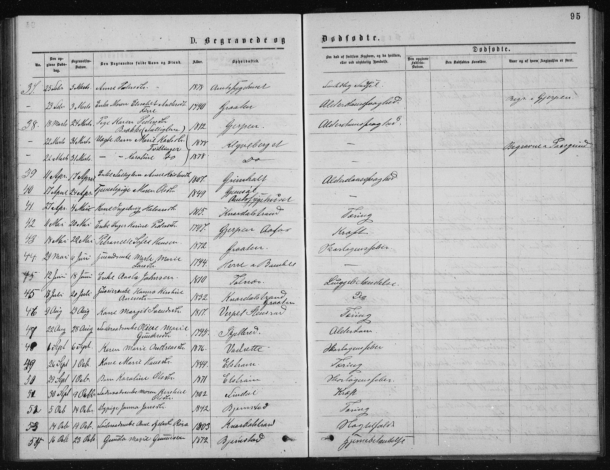 Solum kirkebøker, AV/SAKO-A-306/G/Ga/L0005: Parish register (copy) no. I 5, 1877-1881, p. 95