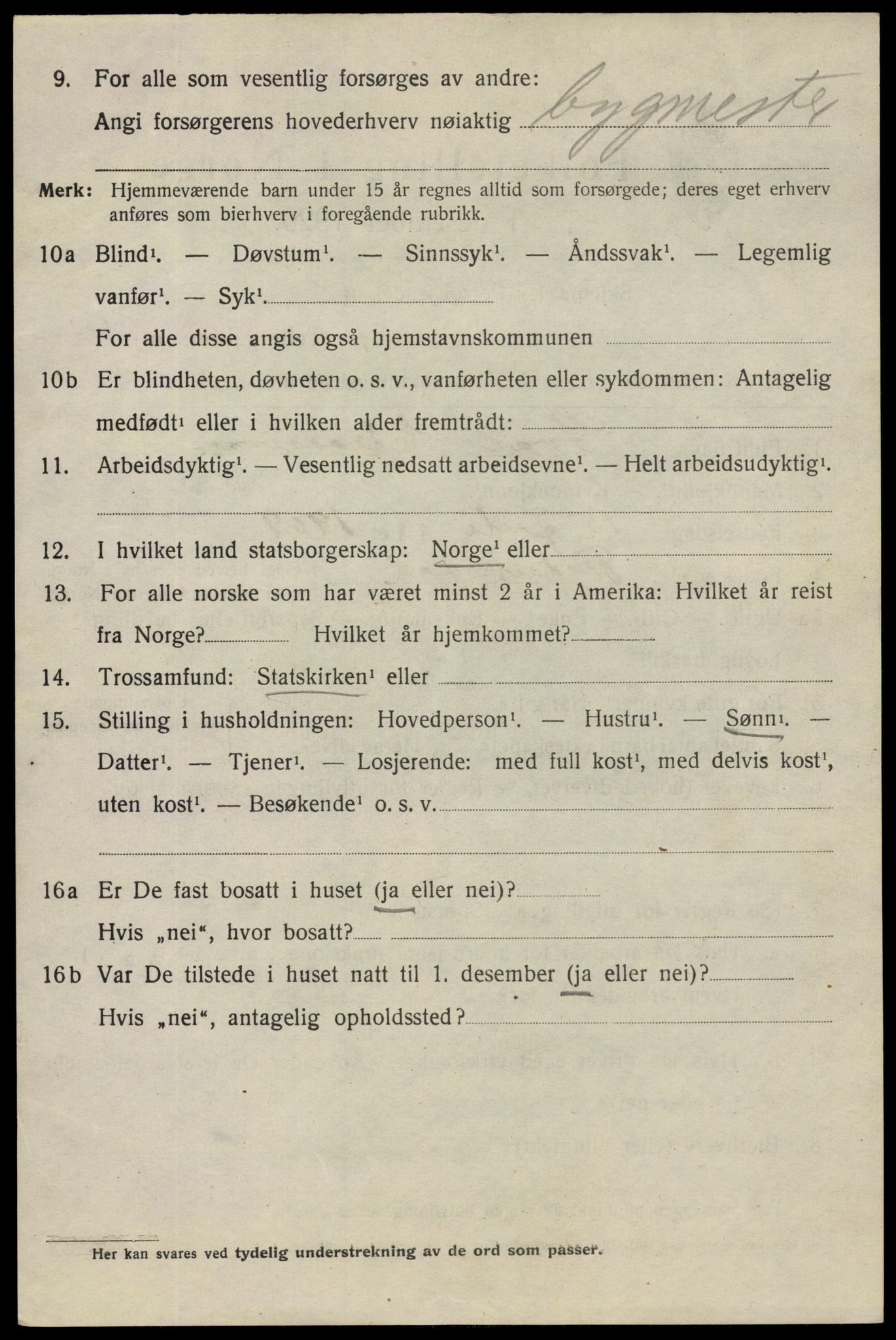 SAO, 1920 census for Fredrikstad, 1920, p. 18536