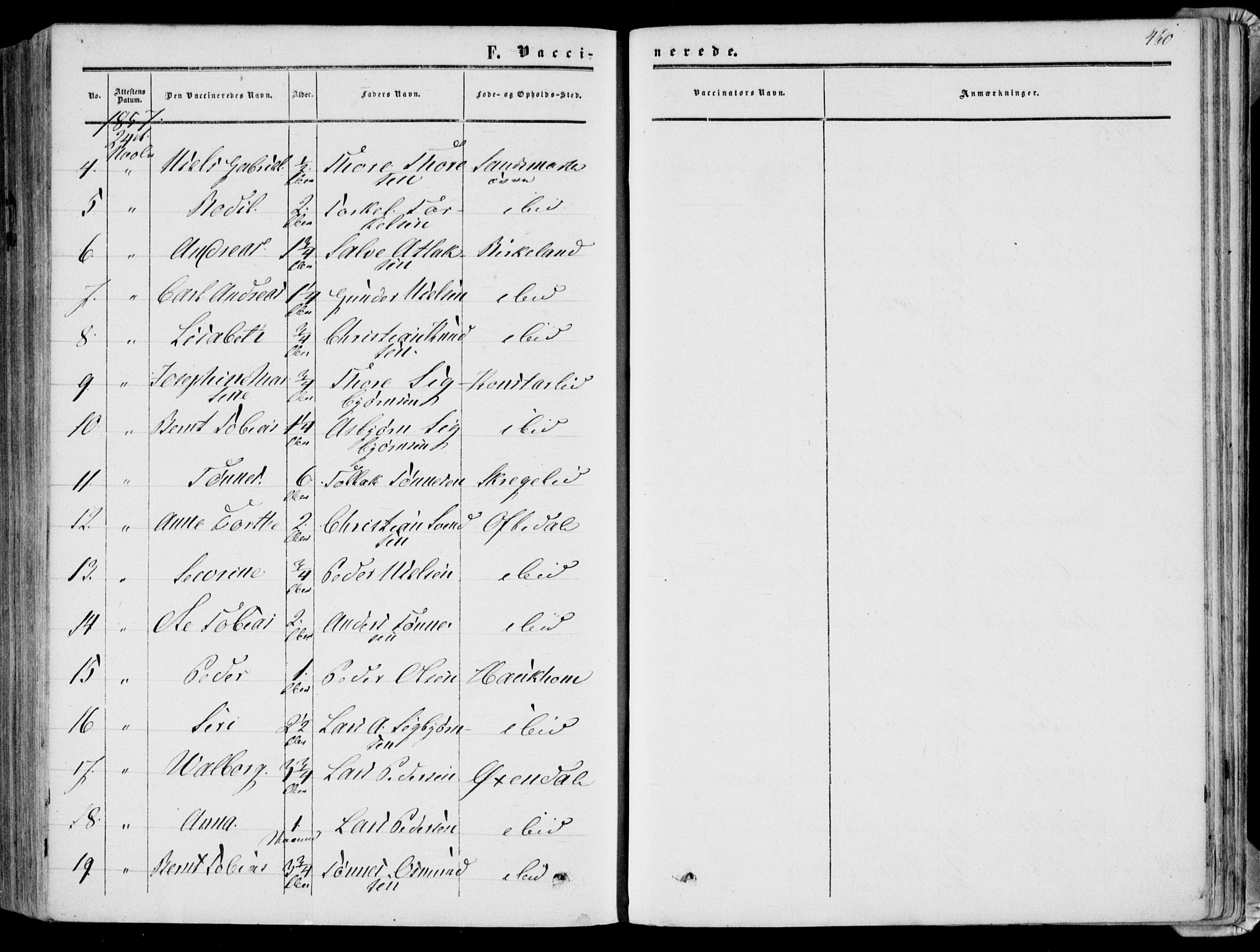 Bakke sokneprestkontor, AV/SAK-1111-0002/F/Fa/Faa/L0006: Parish register (official) no. A 6, 1855-1877, p. 460