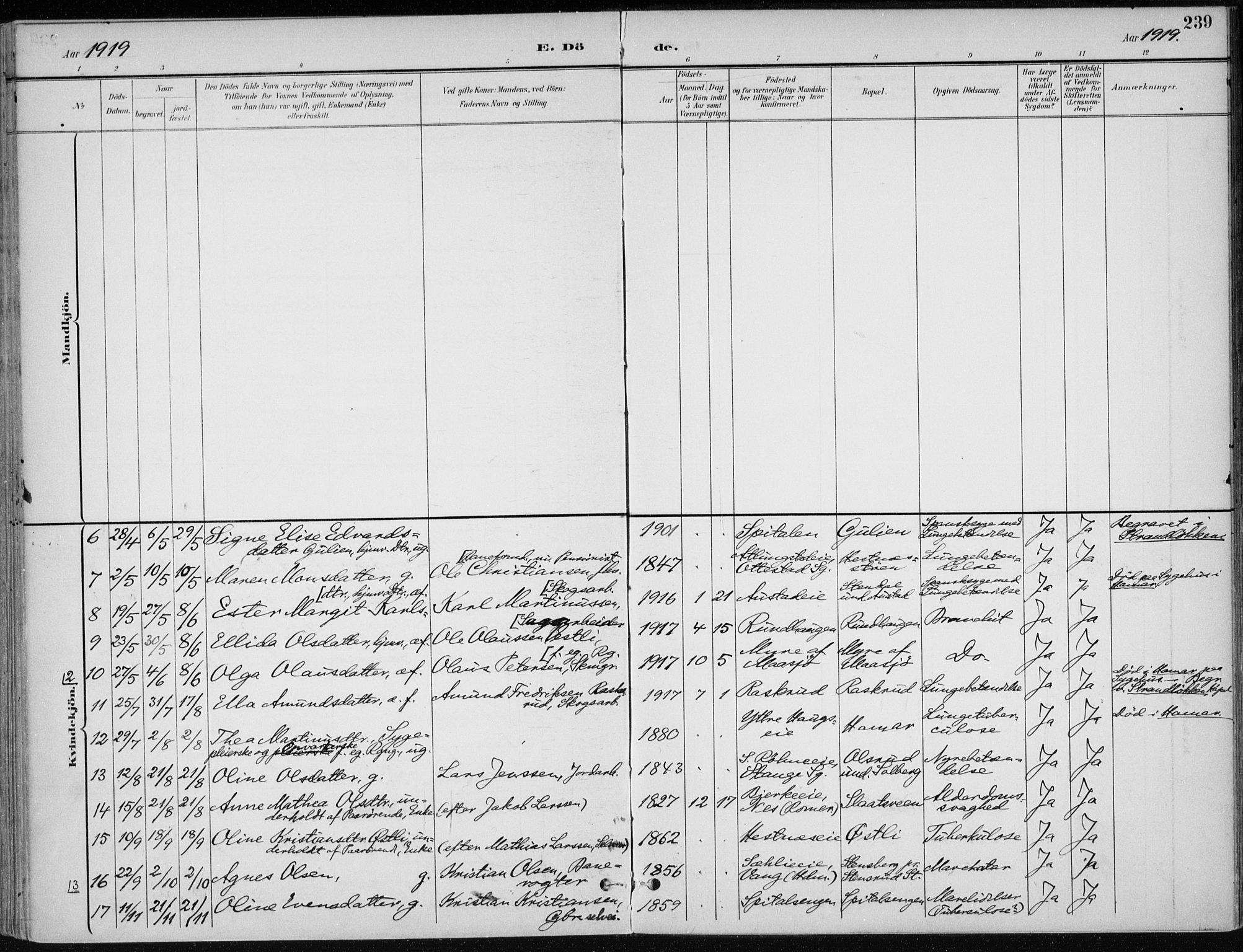 Stange prestekontor, AV/SAH-PREST-002/K/L0023: Parish register (official) no. 23, 1897-1920, p. 239