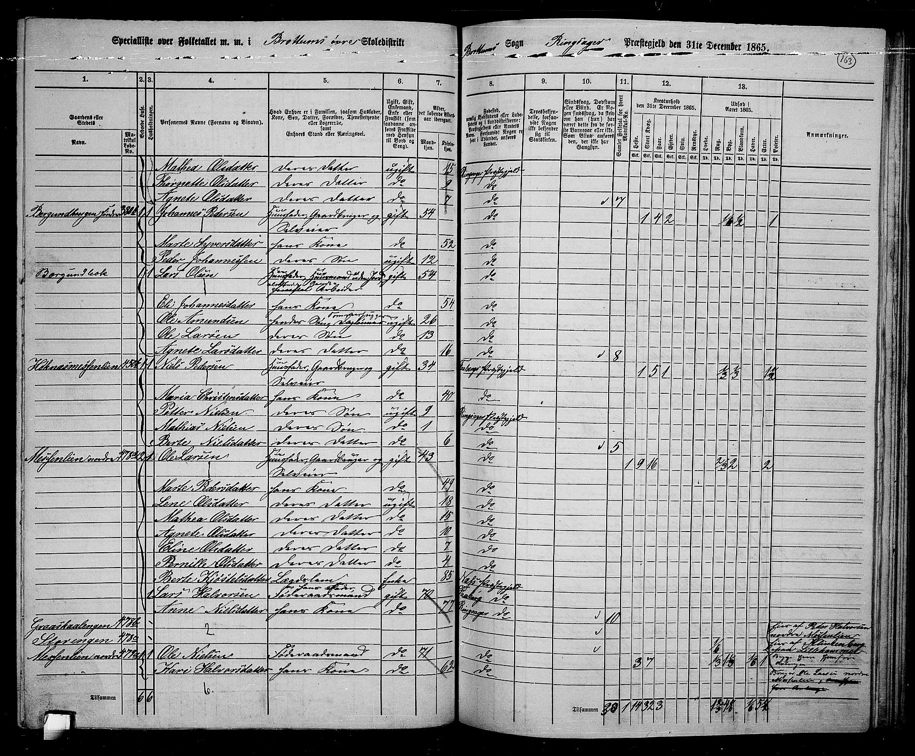 RA, 1865 census for Ringsaker, 1865, p. 407