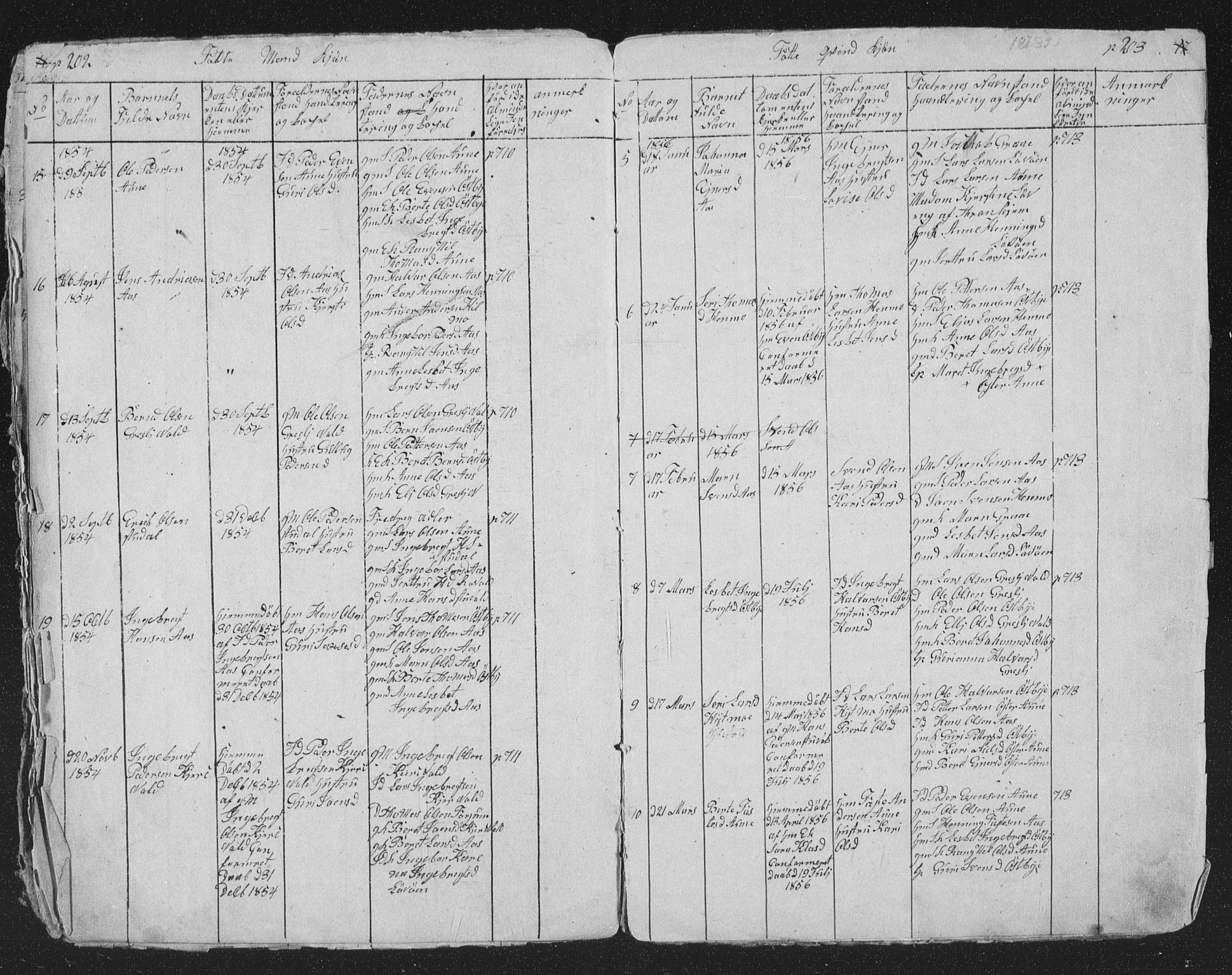 Ministerialprotokoller, klokkerbøker og fødselsregistre - Sør-Trøndelag, AV/SAT-A-1456/698/L1165: Parish register (copy) no. 698C02, 1851-1861, p. 202-203