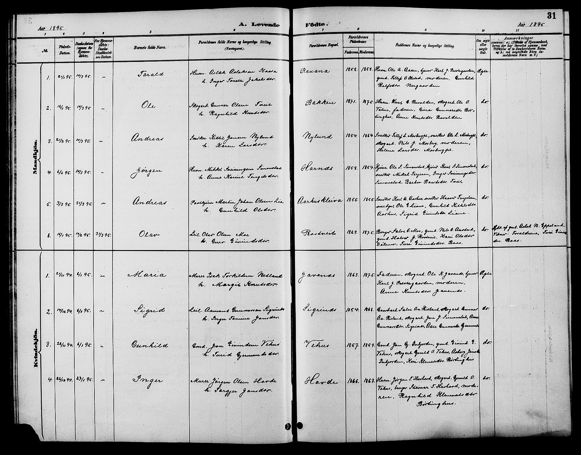 Åmli sokneprestkontor, AV/SAK-1111-0050/F/Fb/Fbc/L0004: Parish register (copy) no. B 4, 1889-1902, p. 31