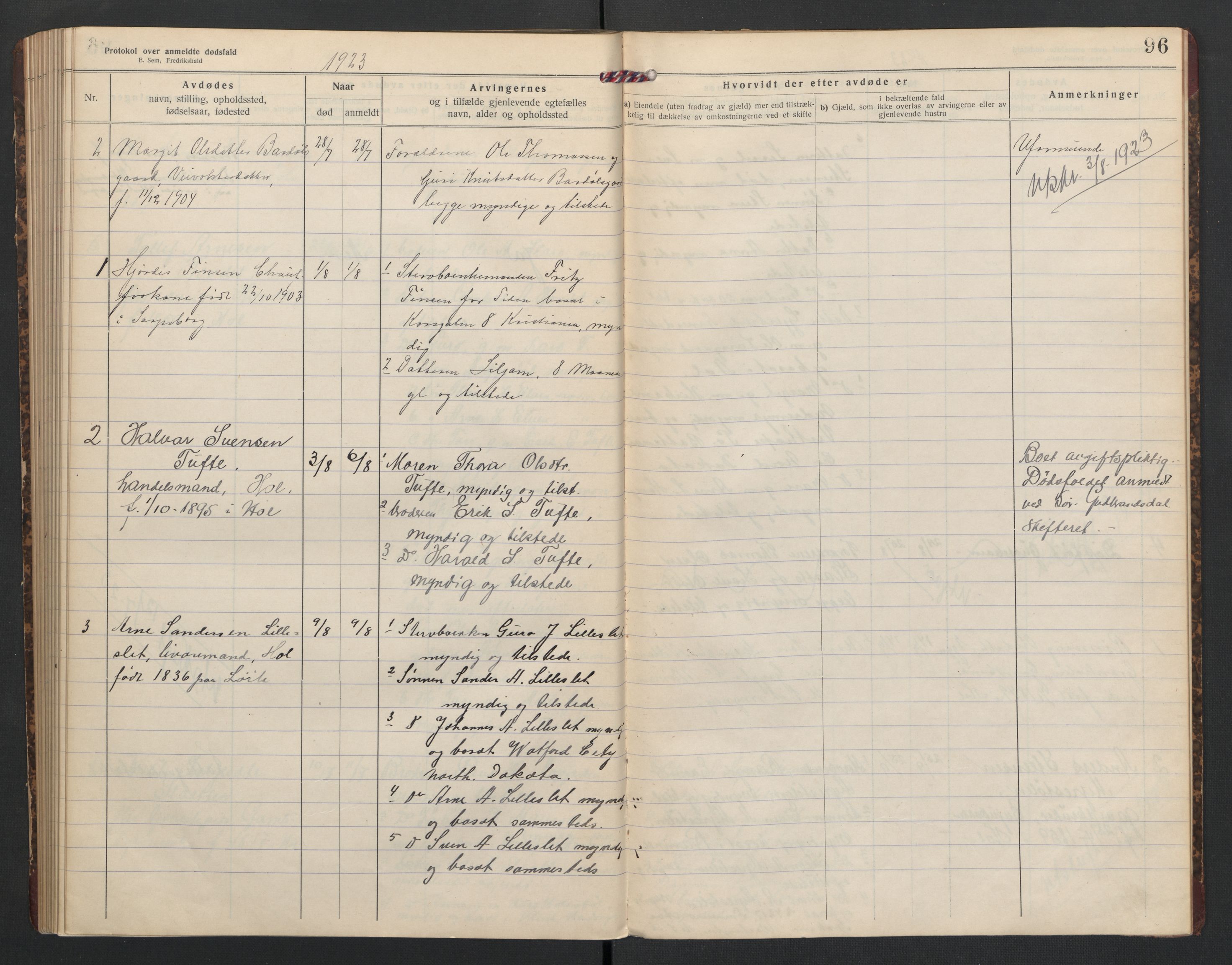 Hol lensmannskontor, AV/SAKO-A-512/H/Ha/L0005: Dødsanmeldelsesprotokoll, 1917-1924, p. 96