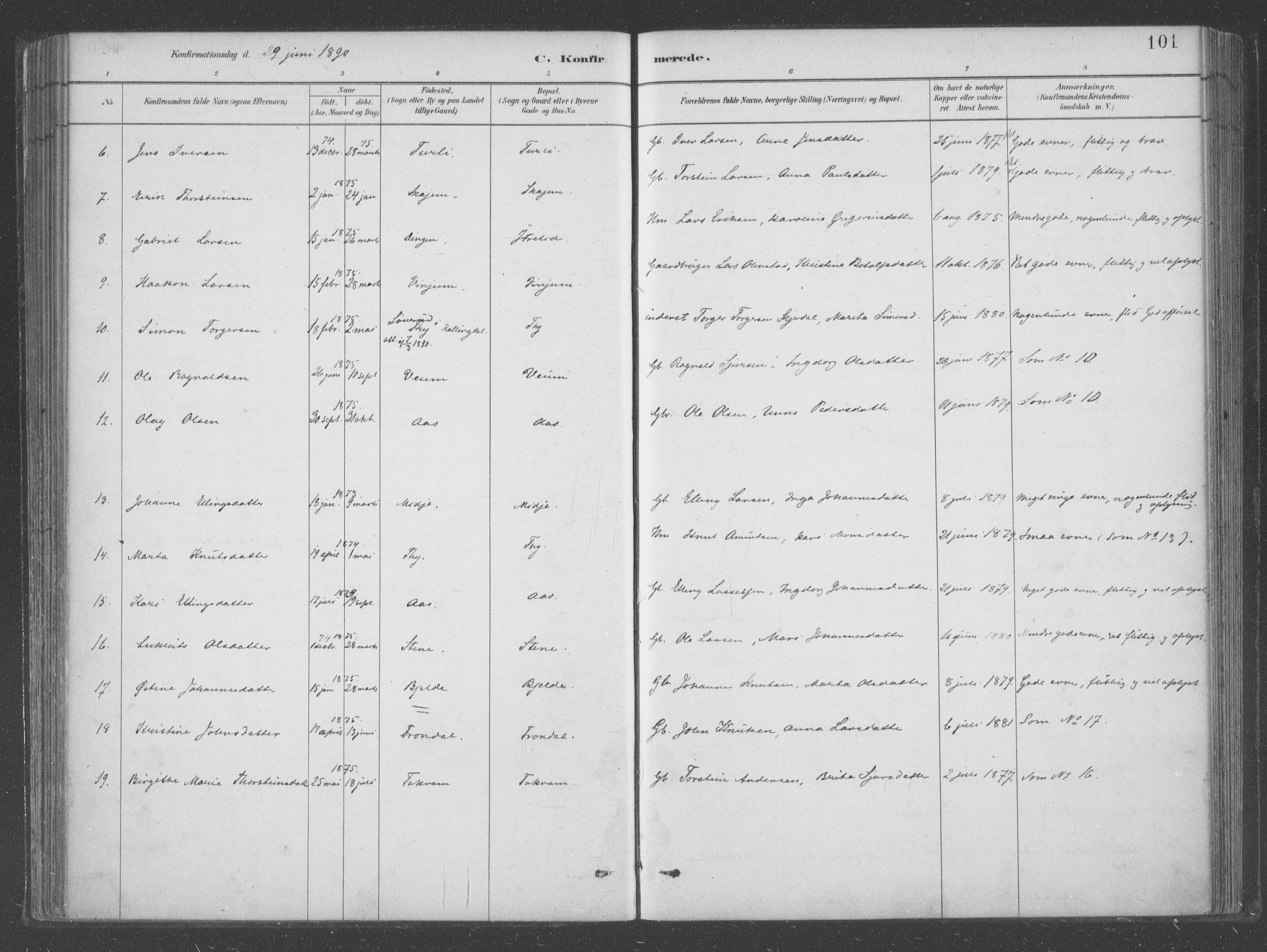 Aurland sokneprestembete, AV/SAB-A-99937/H/Ha/Hab/L0001: Parish register (official) no. B  1, 1880-1909, p. 101