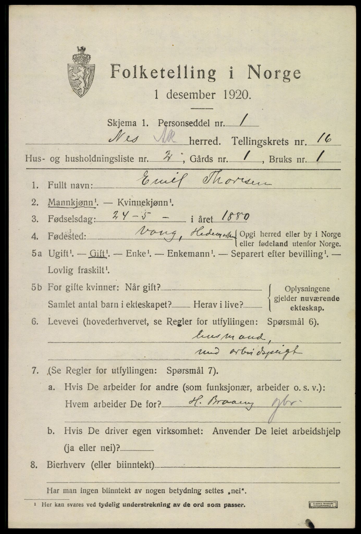 SAO, 1920 census for Nes, 1920, p. 15692